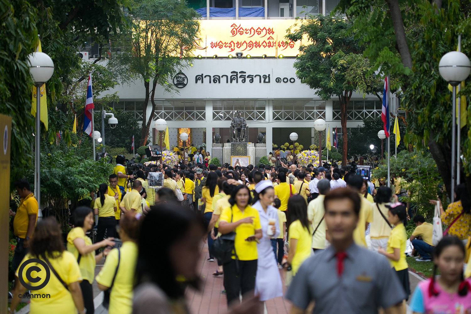 ในหลวงรัชกาลที่ 9