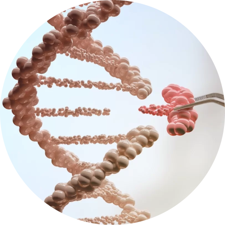 Gene Editing