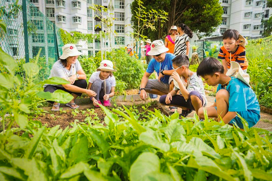 แคมเปญ Community in Bloom สิงคโปร์