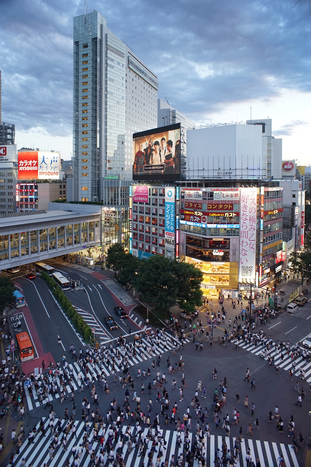 Udon_Tactical Urbanism Shibuya