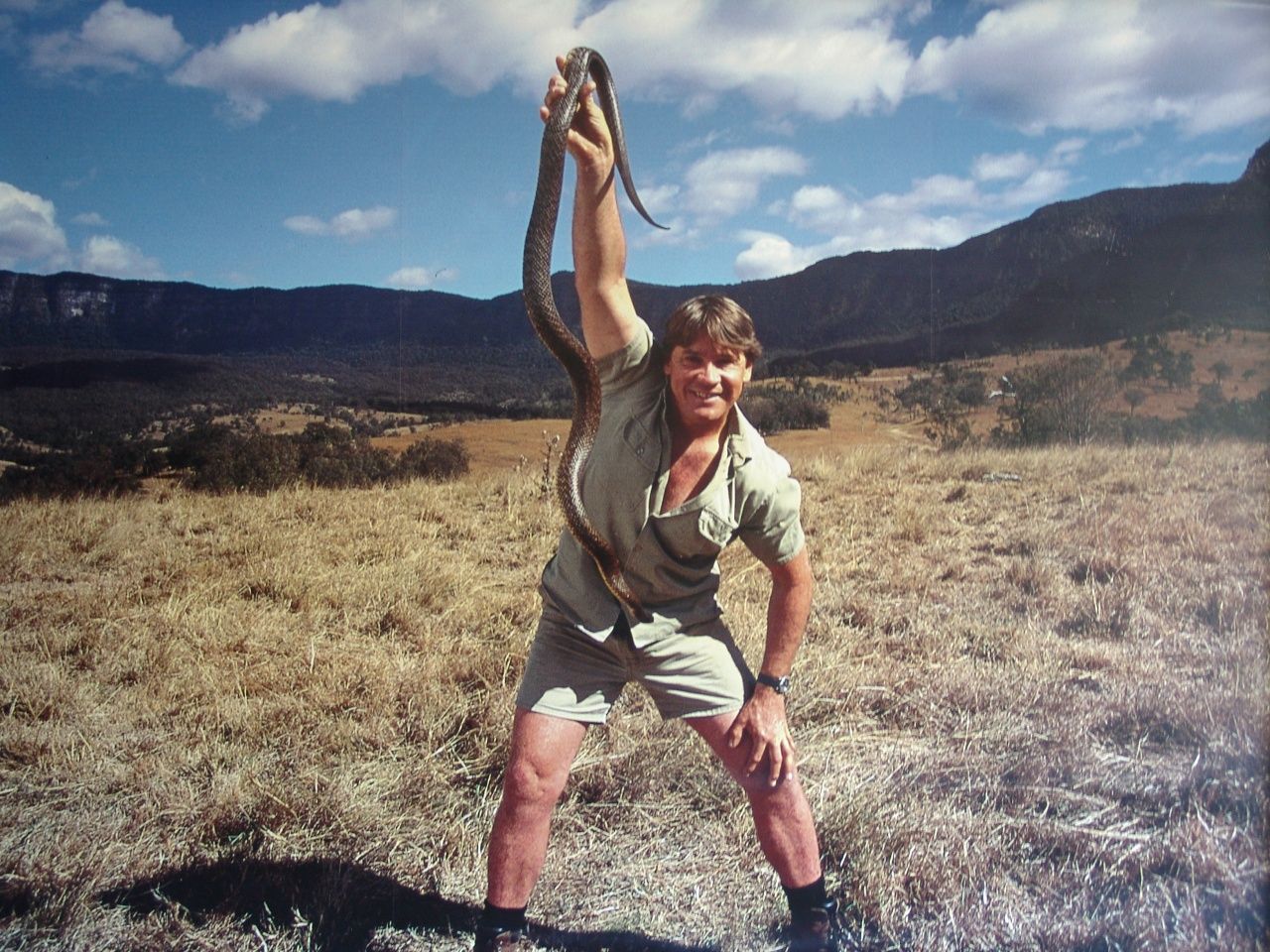 Steve Irwin