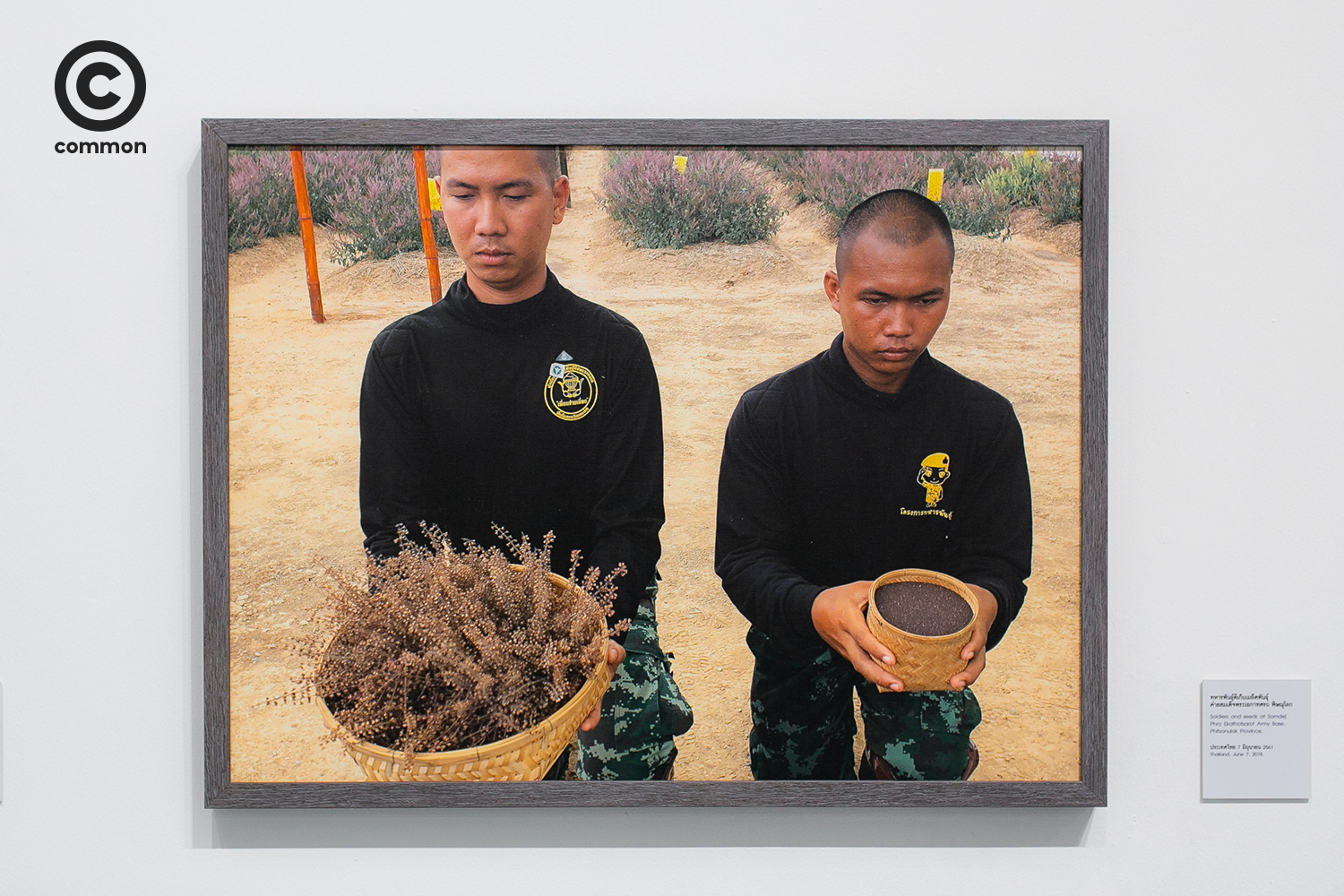 #photo essay #ภาพถ่ายฝีพระหัตถ์สมเด็จพระเทพฯ