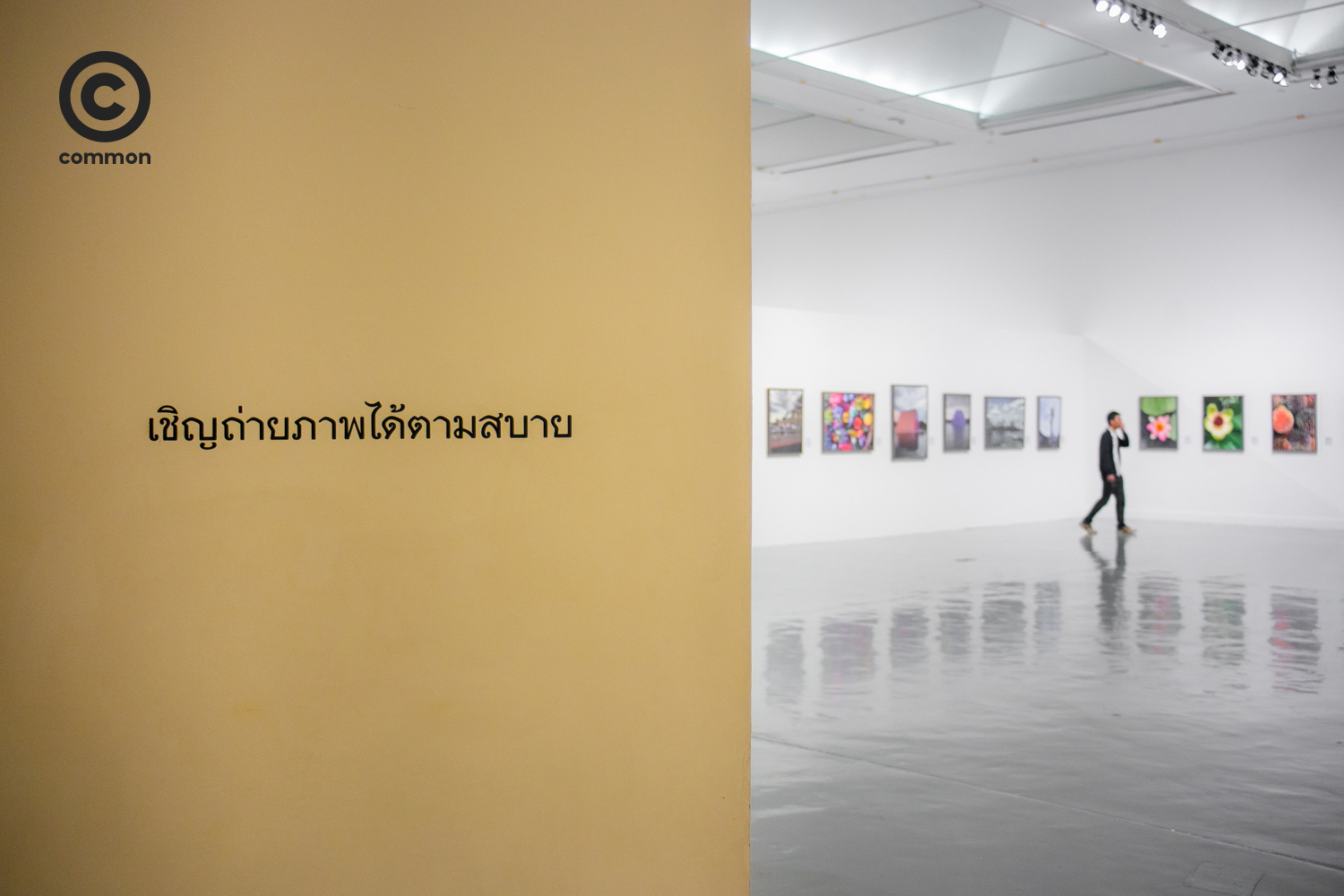 #photo essay #ภาพถ่ายฝีพระหัตถ์สมเด็จพระเทพฯ