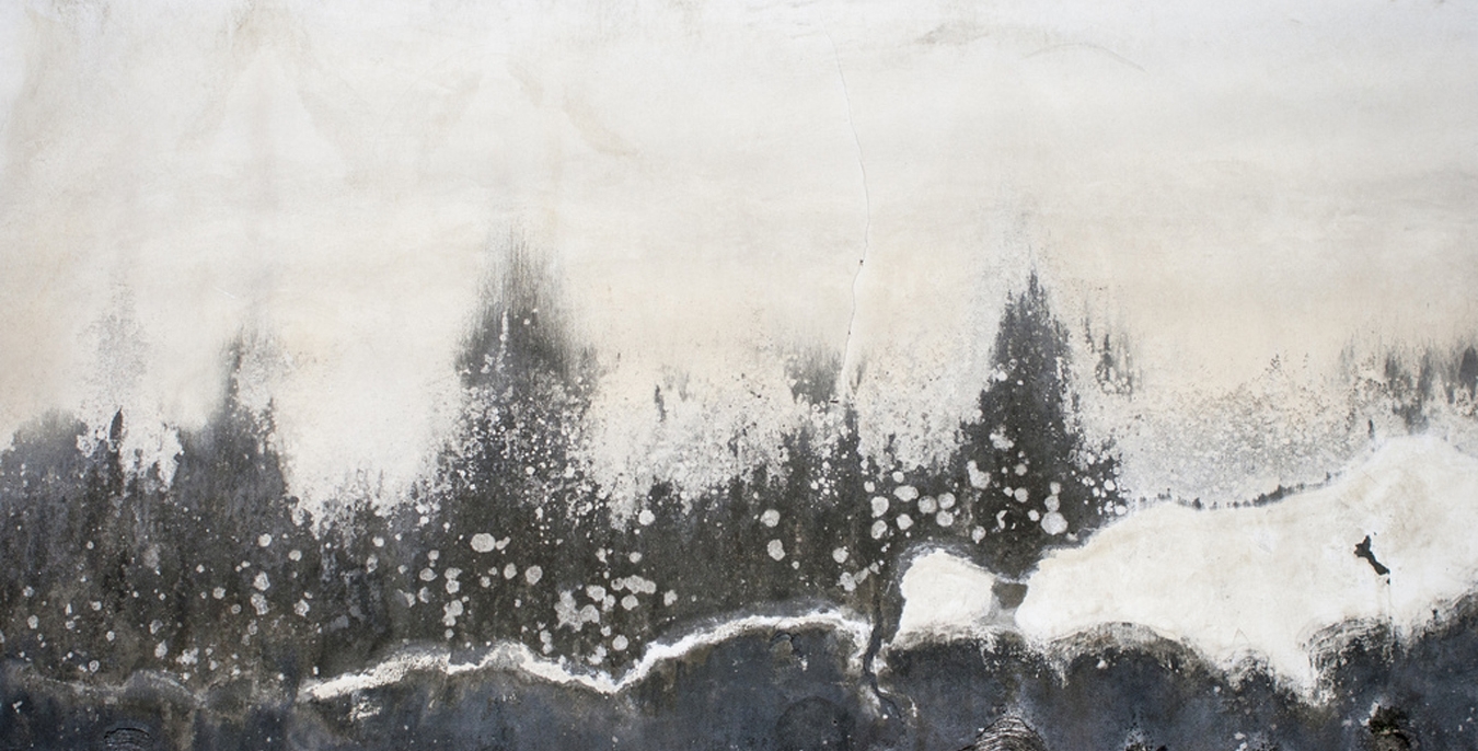 วะบิ ซะบิ wabi sabi วะบิ-ซะบิ wabi-sabi