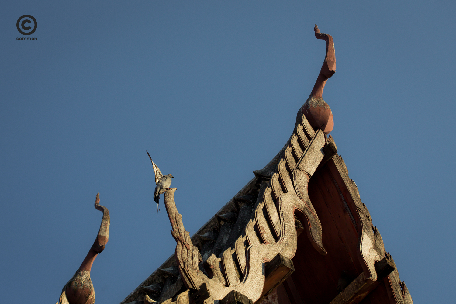 #วัดช่องนนทรี #ศิลปะอยุธยา #Photo Essay #วัดเก่า #จิตรกรรมฝาผนัง