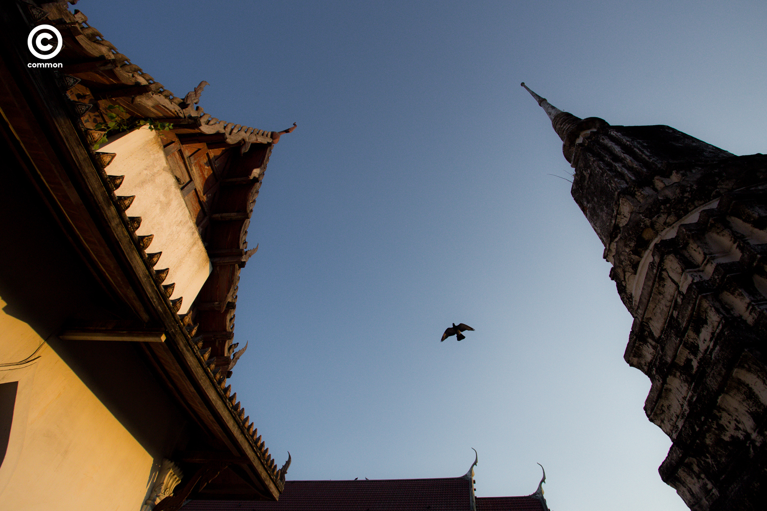 #วัดช่องนนทรี #ศิลปะอยุธยา #Photo Essay #วัดเก่า #จิตรกรรมฝาผนัง