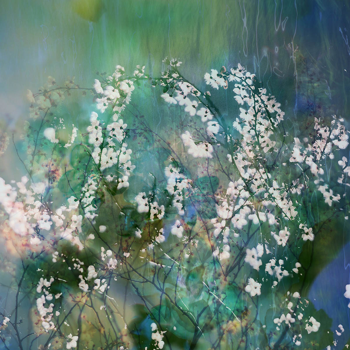 IGPOTY abstract views