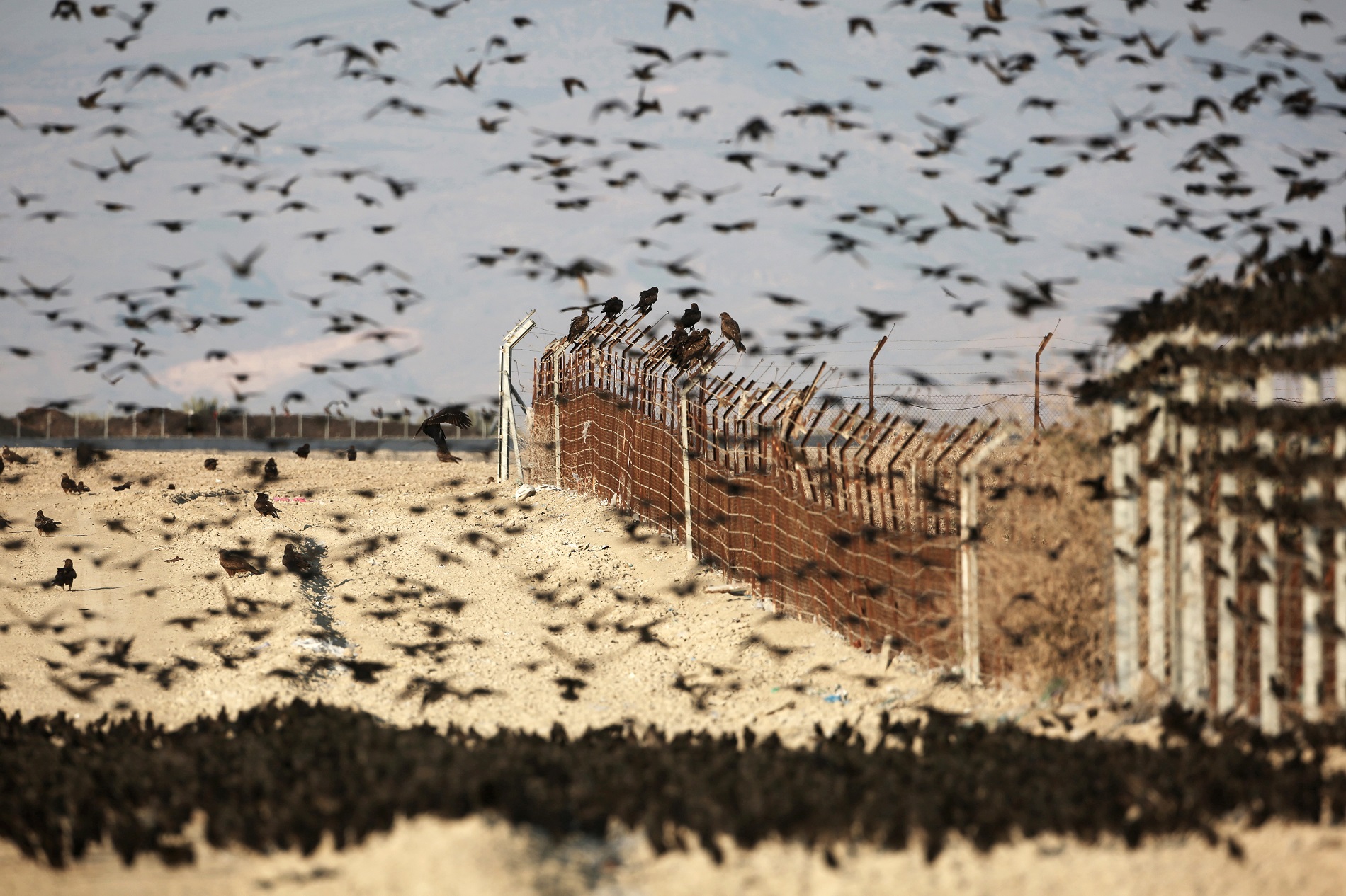 border world country