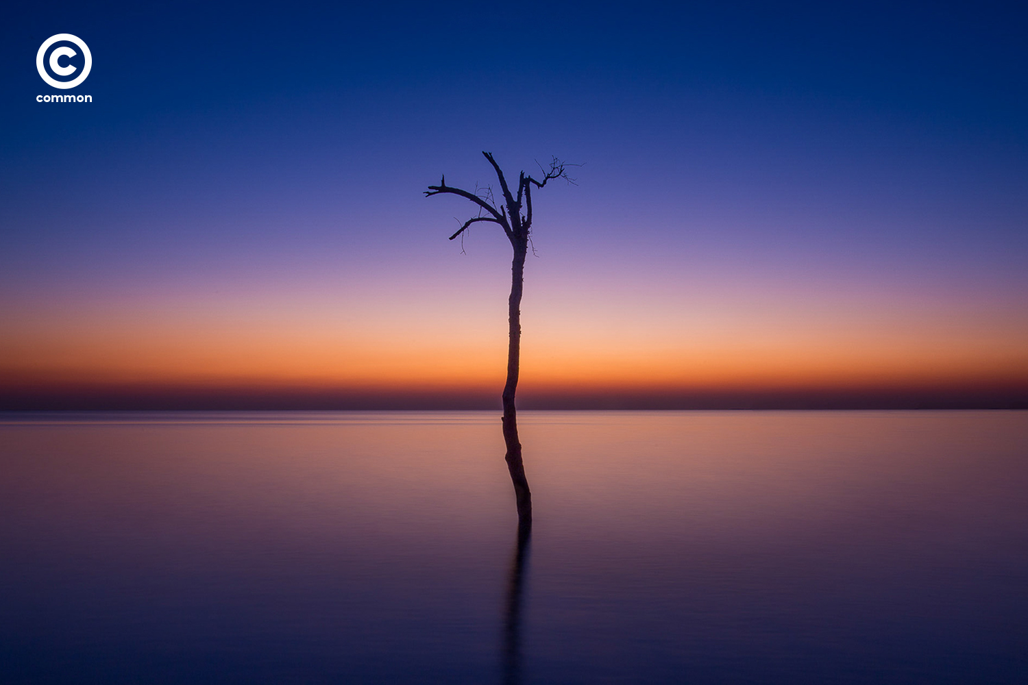 #Photo Essay #บางปู #Landscape #Twilight #แสงสนธยา
