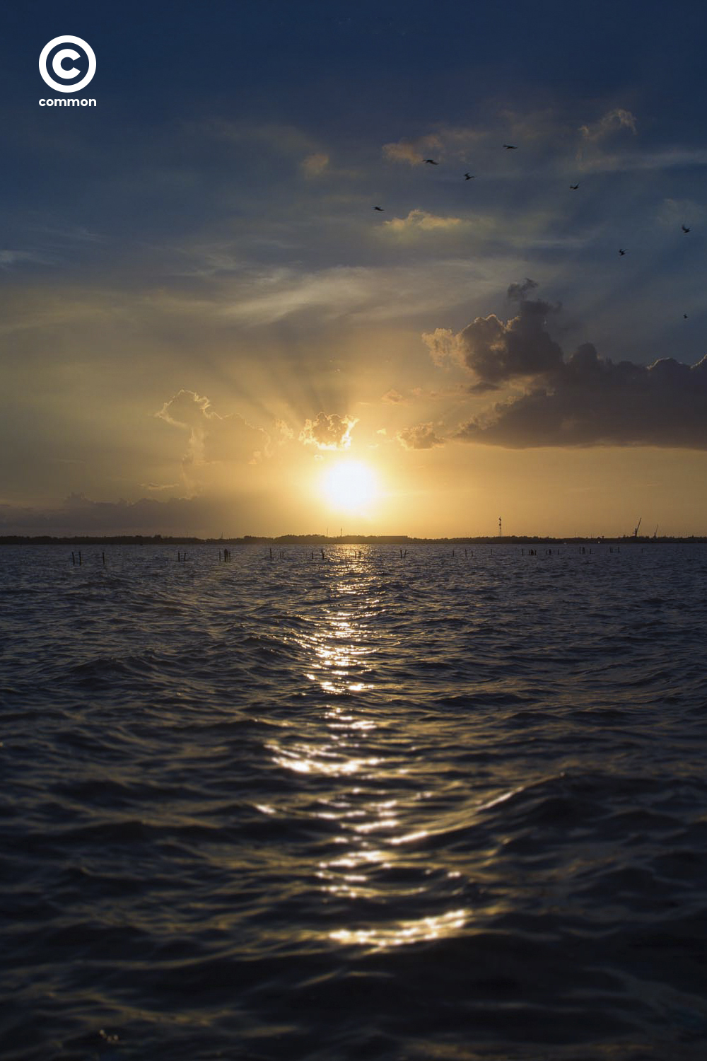 o Essay #บางปู #Landscape #Twilight #แสงสนธยา