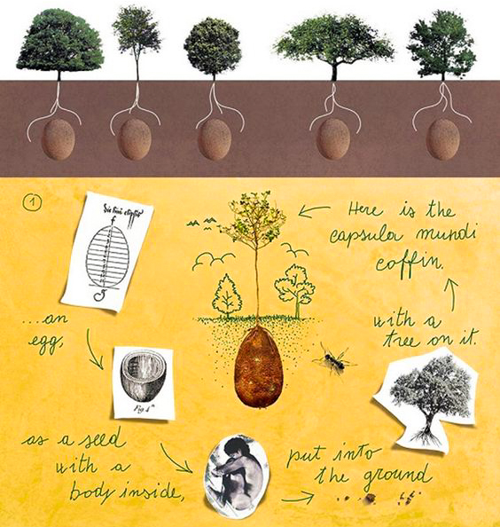 Capsula Mundi