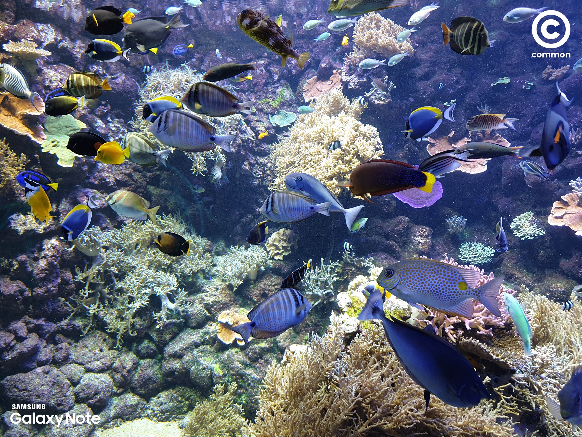Aquarium Den Blå Planet Denmark