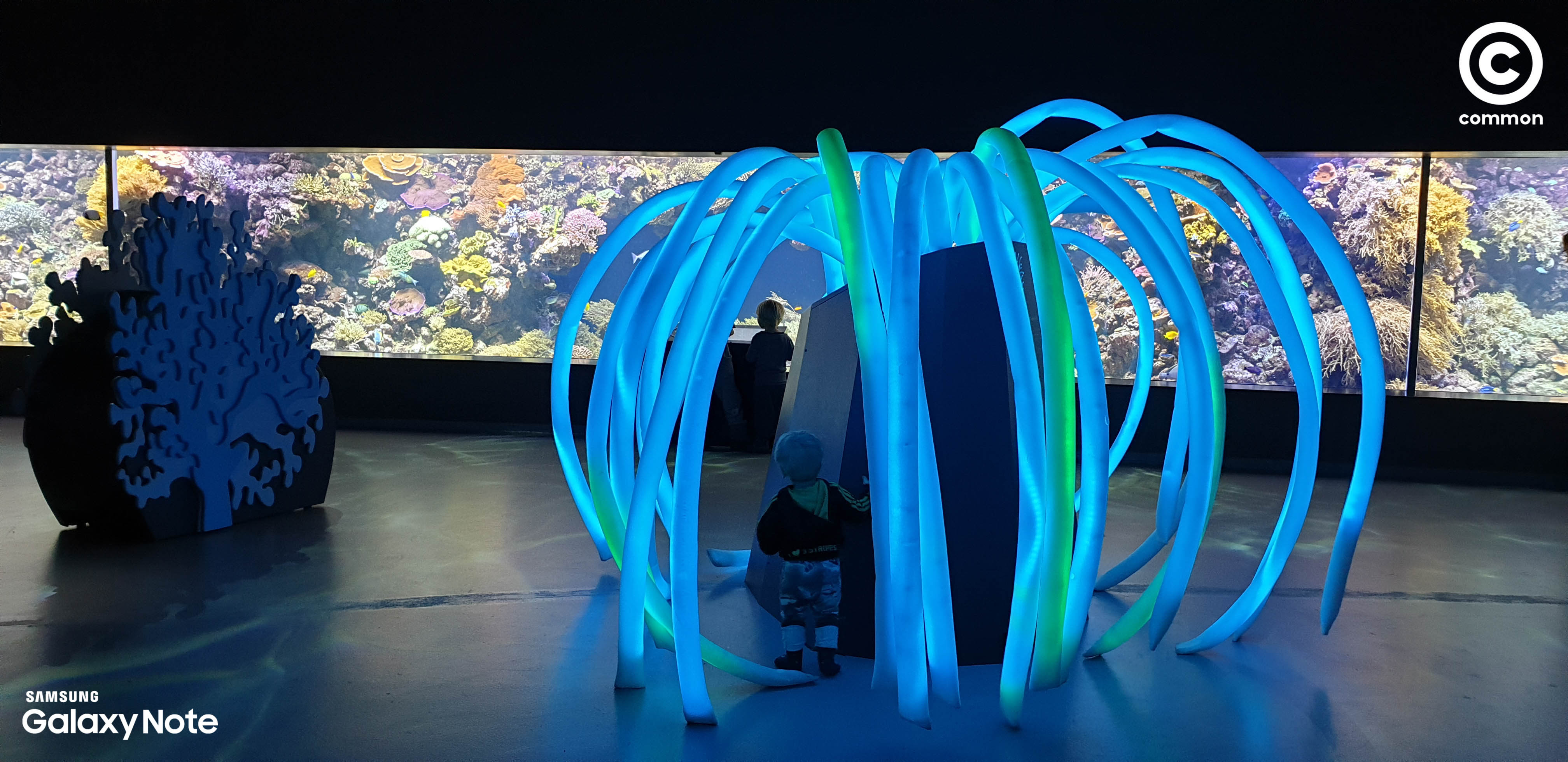Aquarium Den Blå Planet Denmark