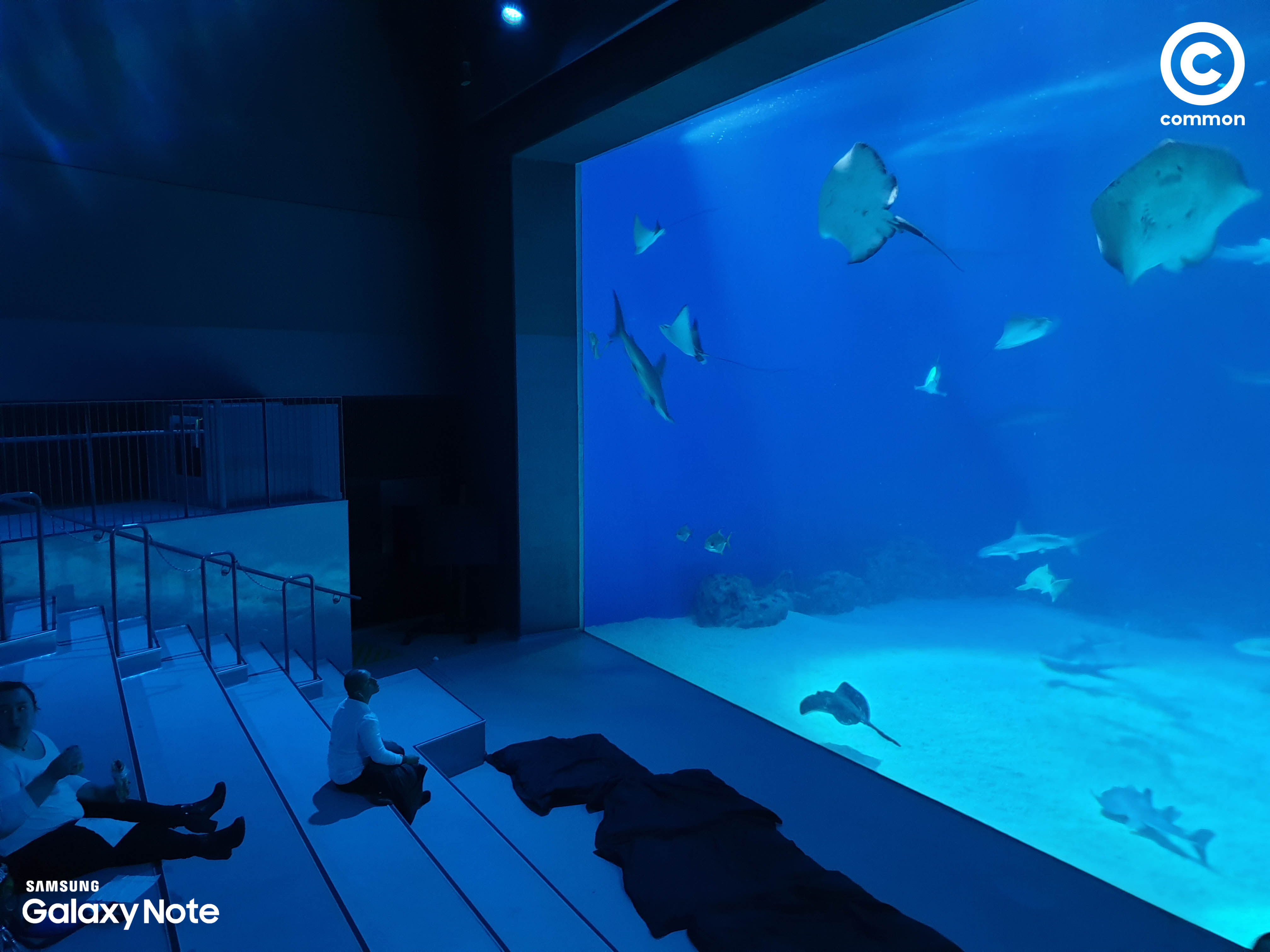 Aquarium Den Blå Planet Denmark