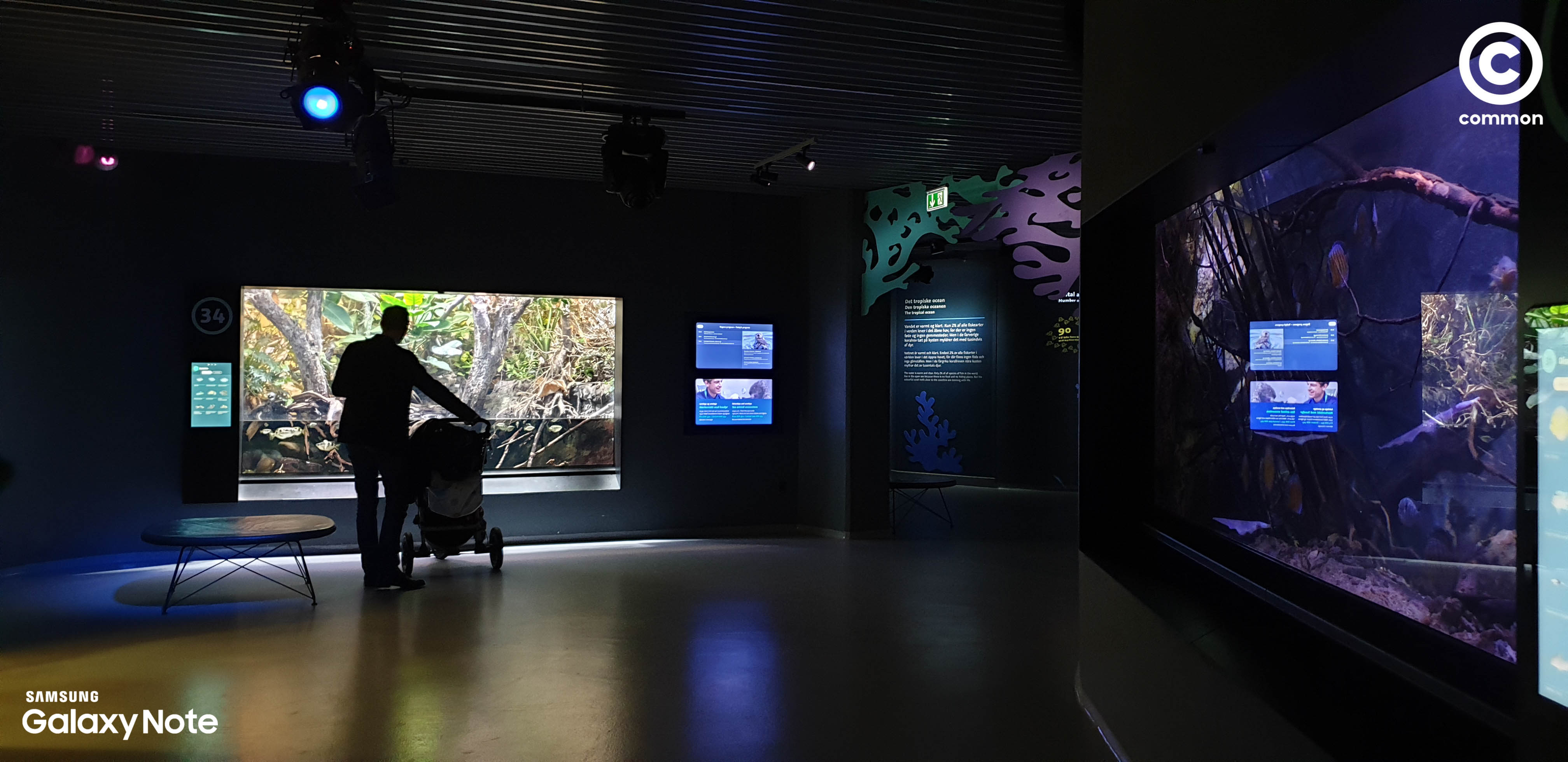 Aquarium Den Blå Planet Denmark