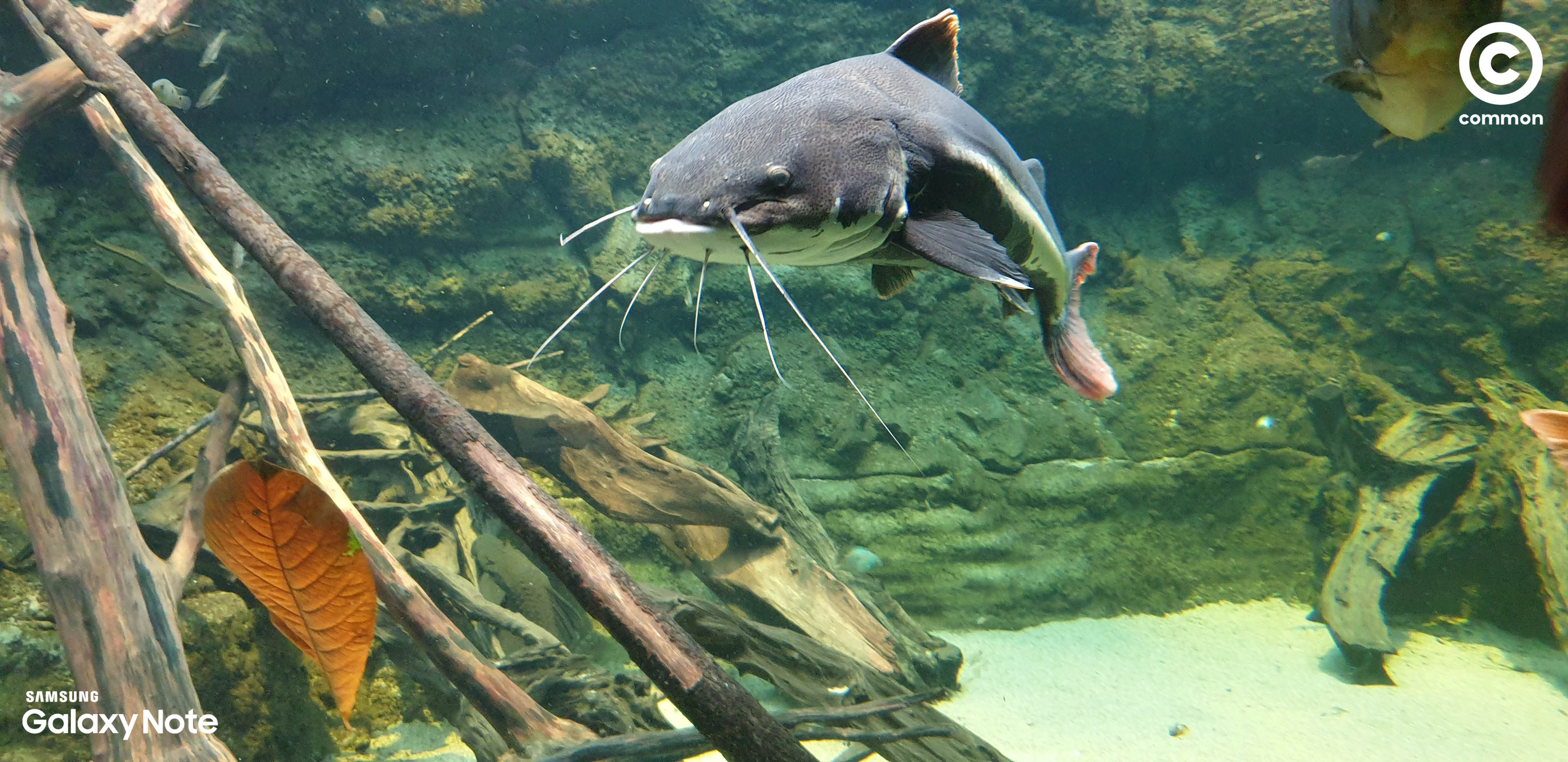 Aquarium Den Blå Planet Denmark