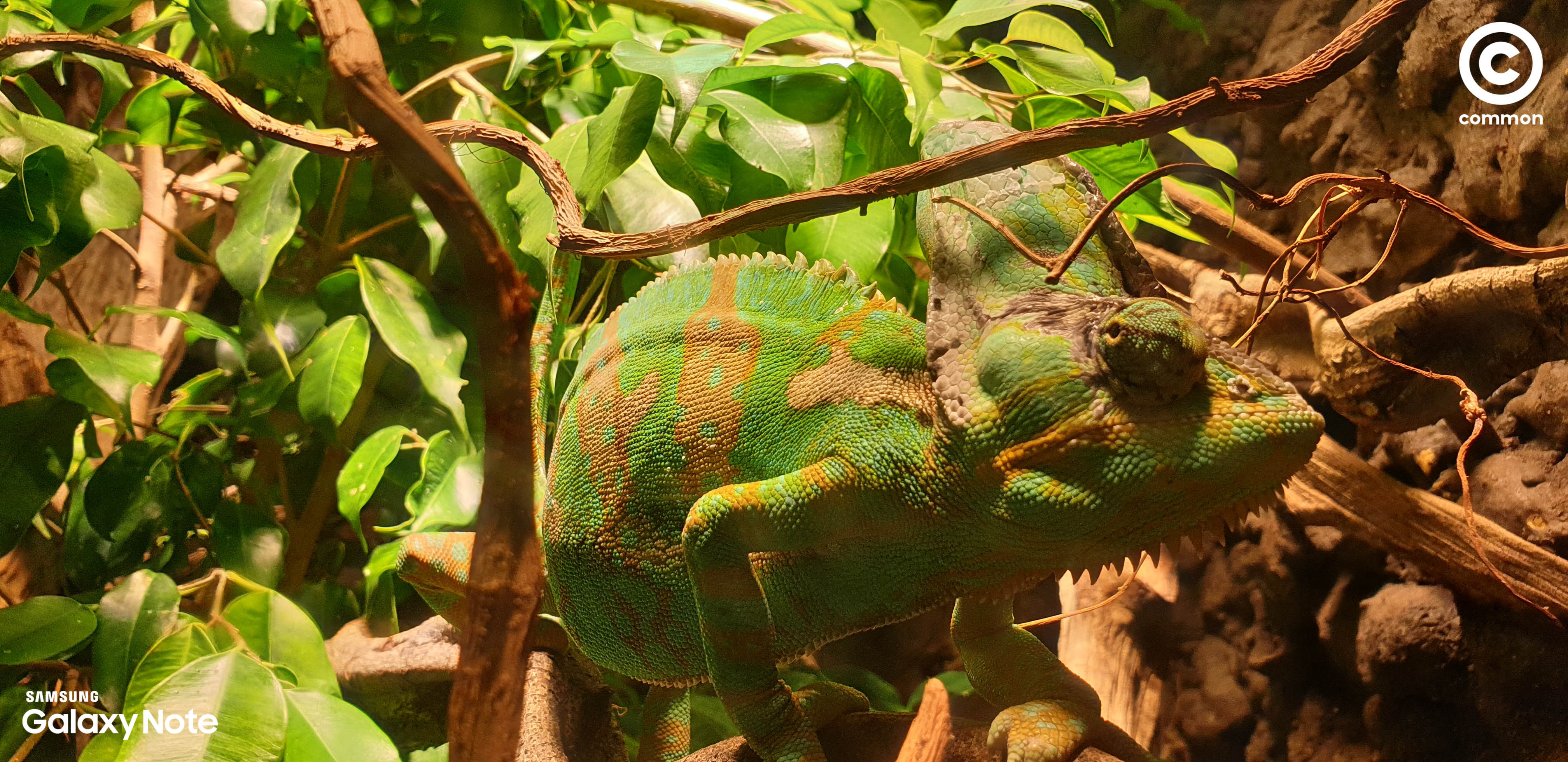 Aquarium Den Blå Planet Denmark