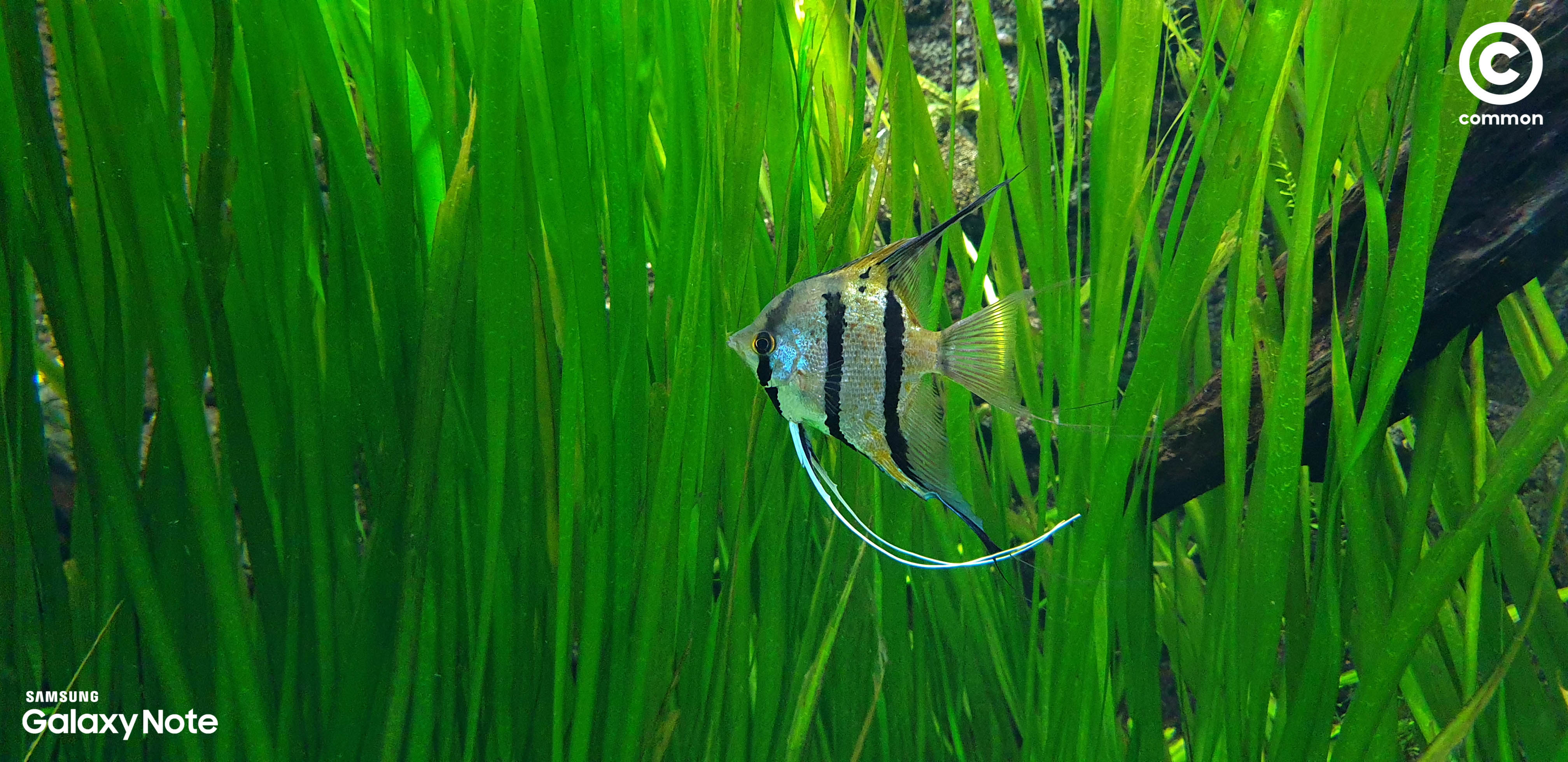 Aquarium Den Blå Planet Denmark
