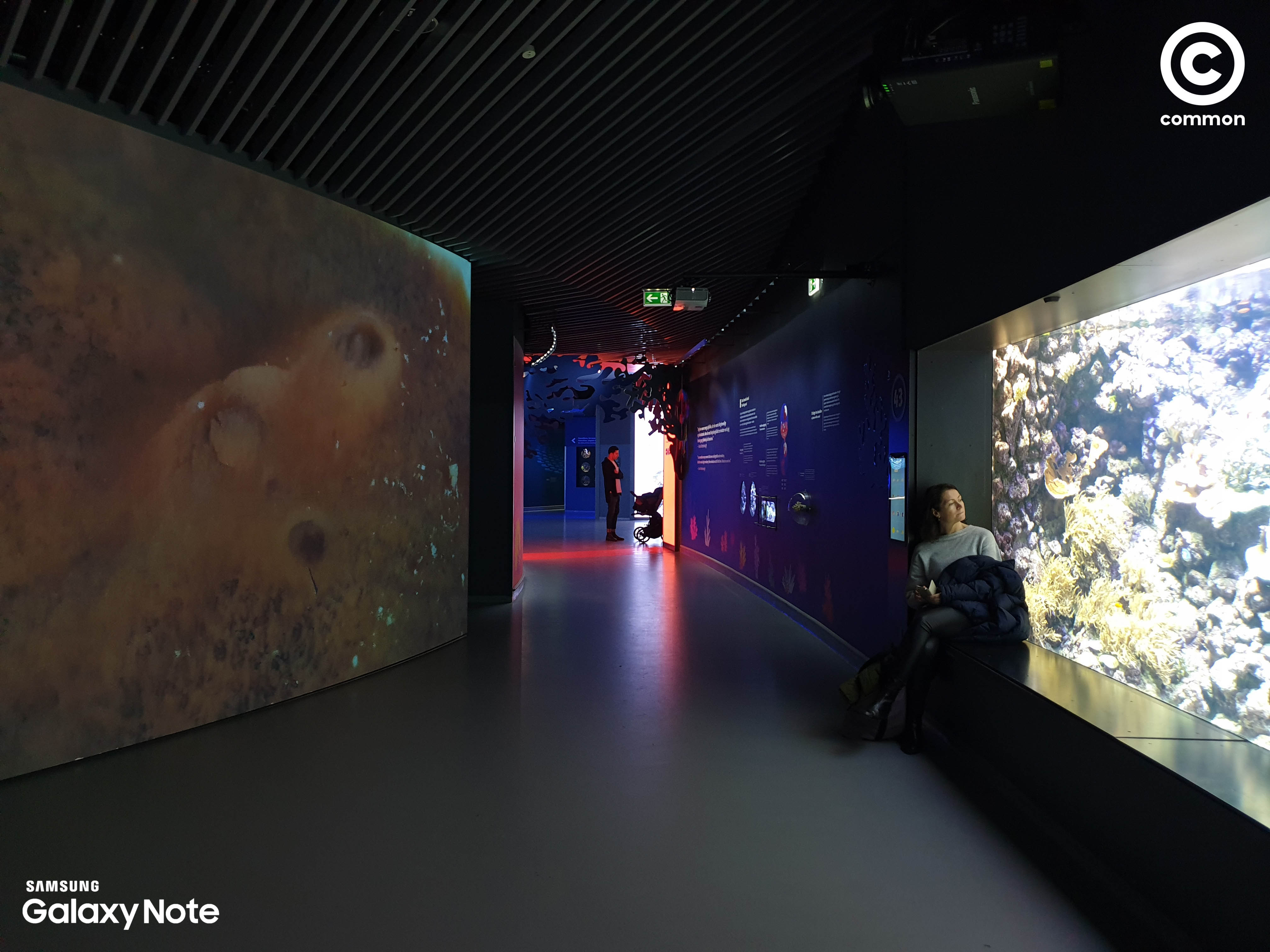 Aquarium Den Blå Planet Denmark