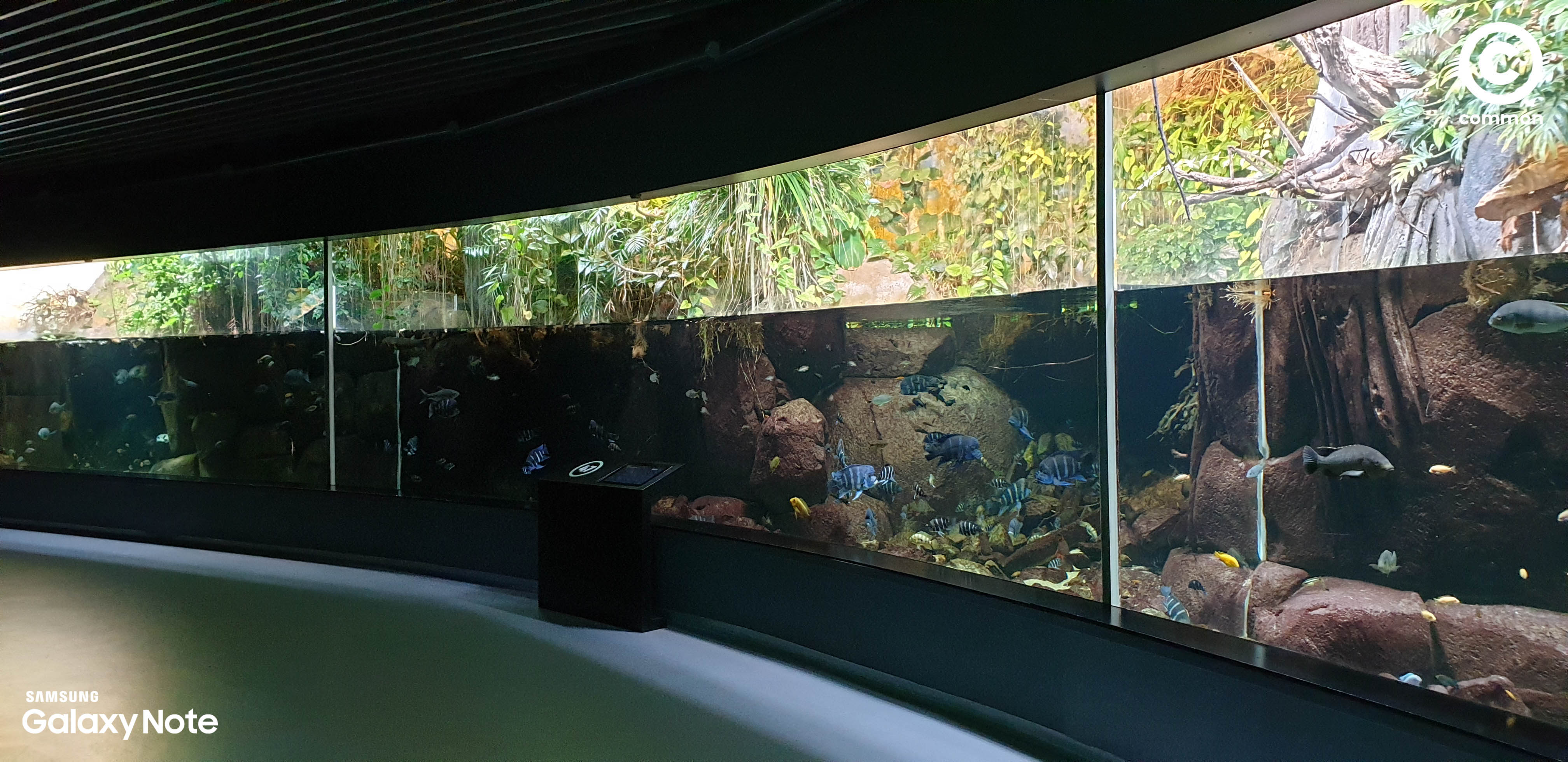 Aquarium Den Blå Planet Denmark