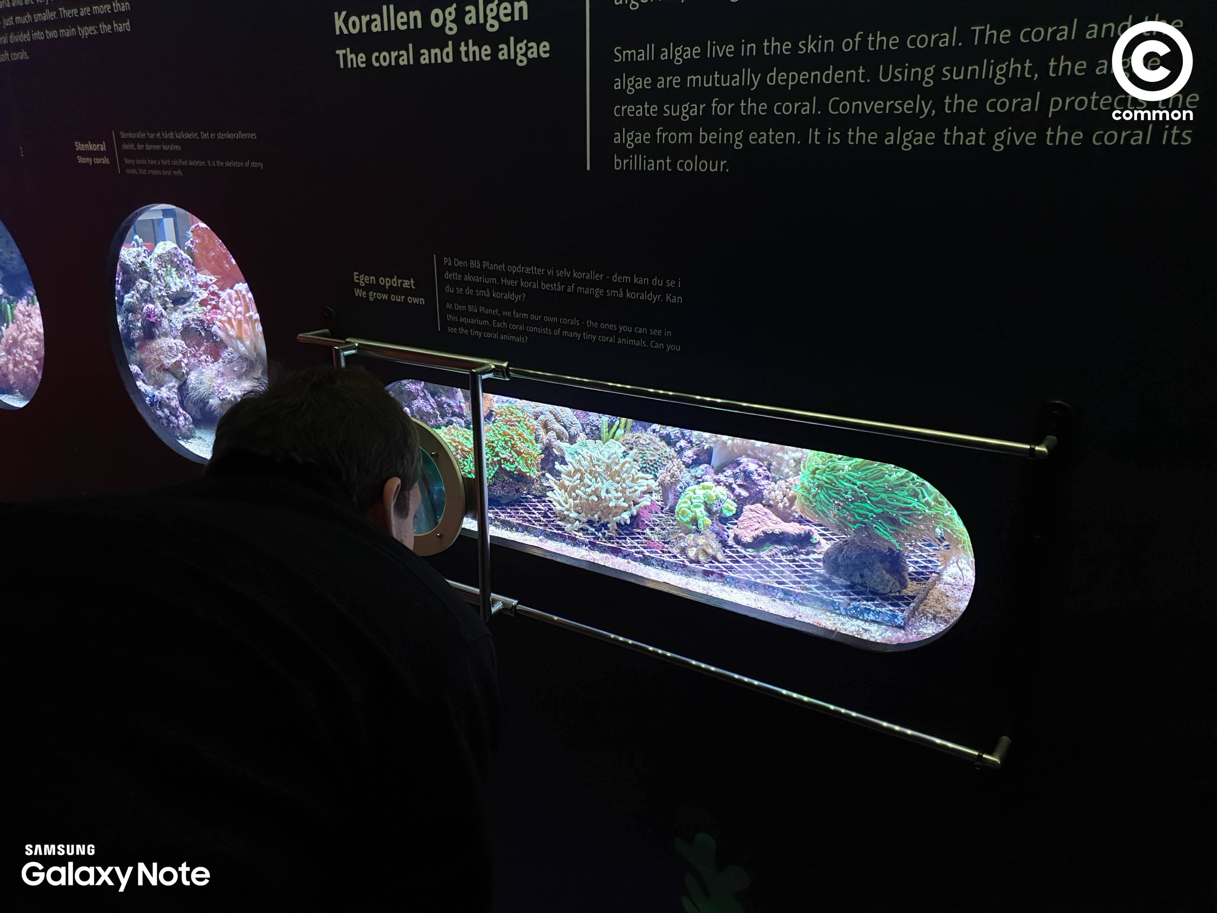 Aquarium Den Blå Planet Denmark
