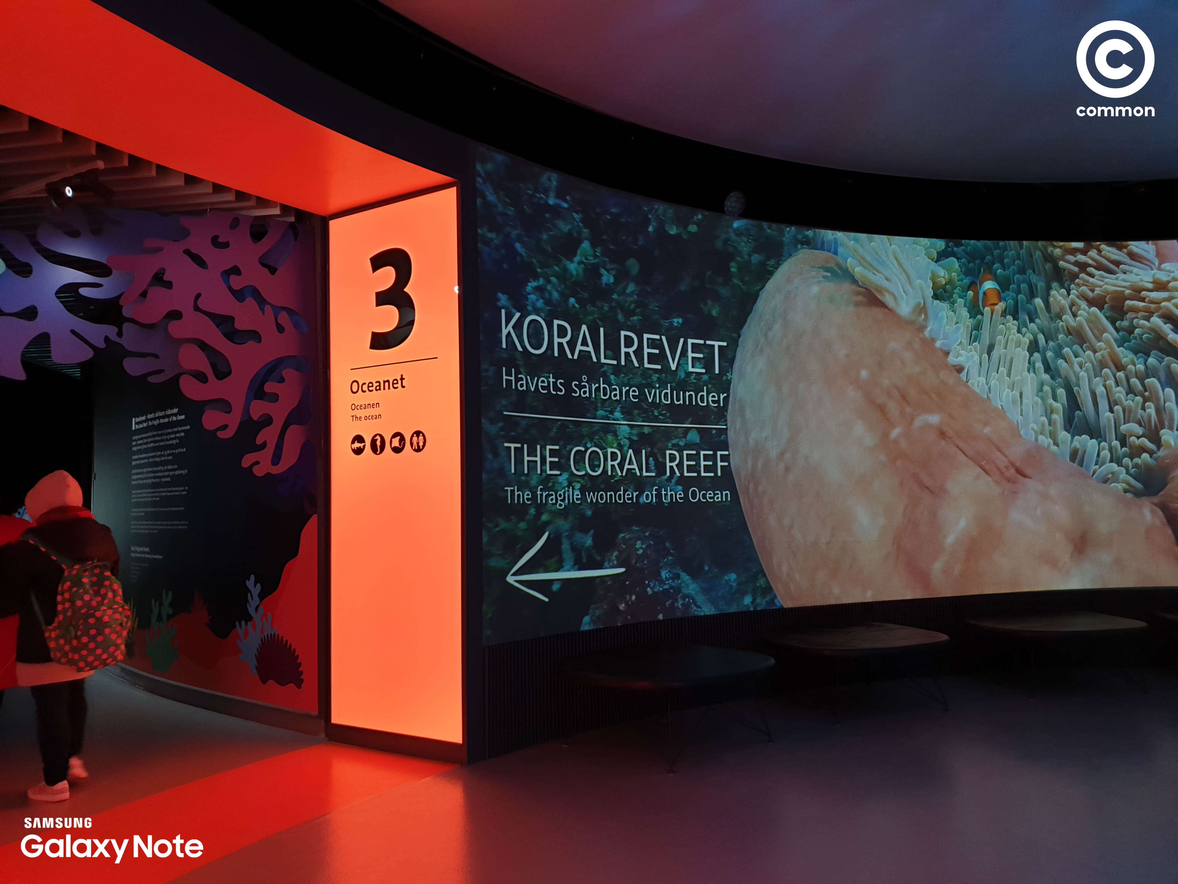 Aquarium Den Blå Planet Denmark