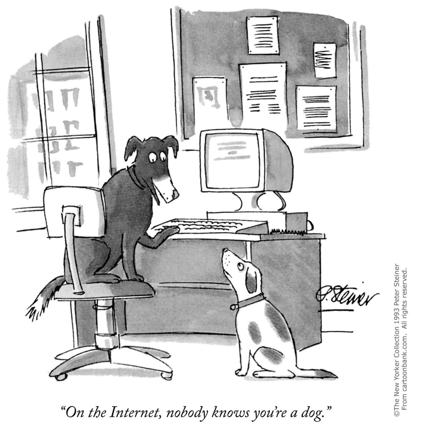 Digital Identity