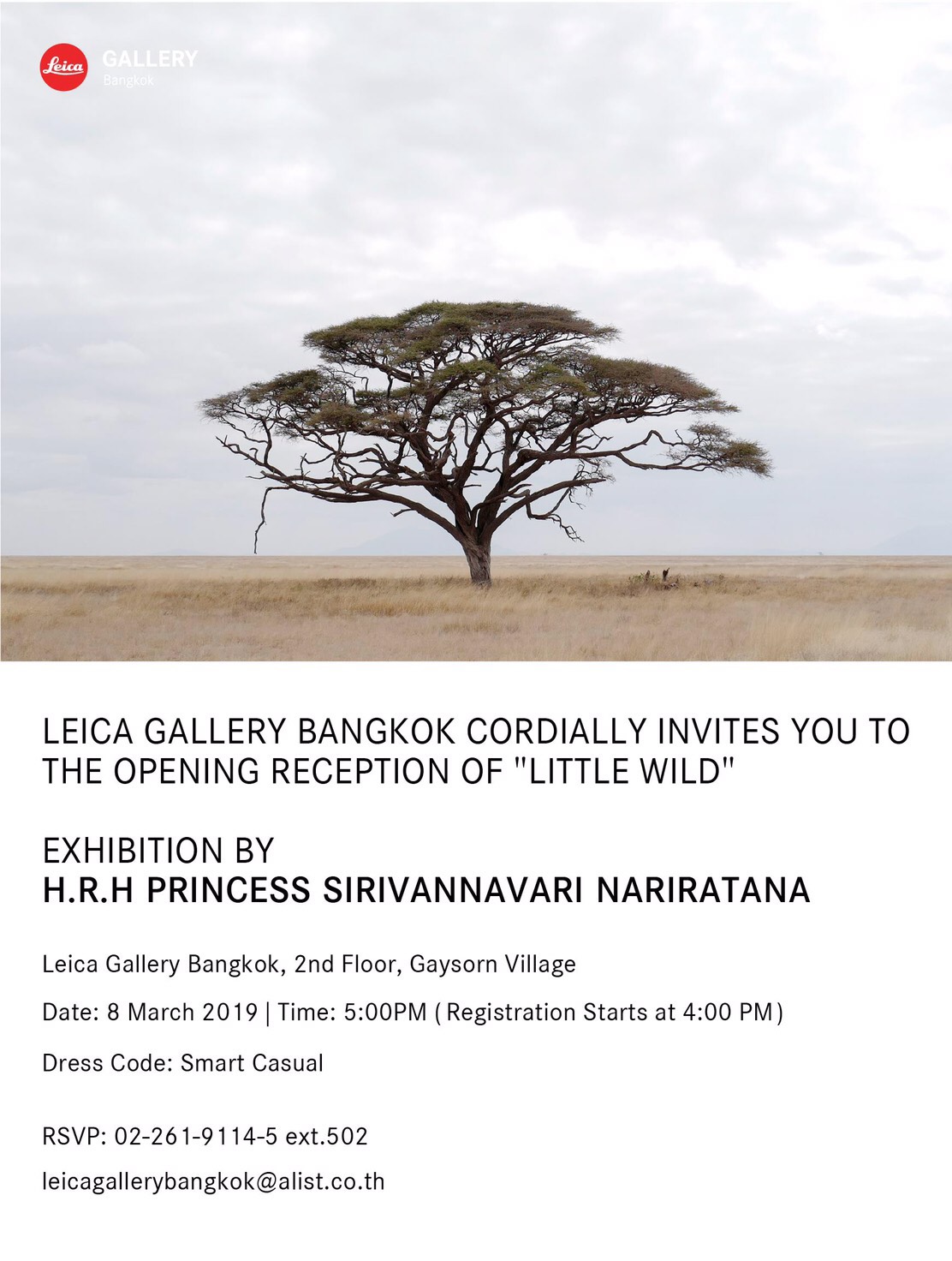 little wild little wild leica gallery bangkok