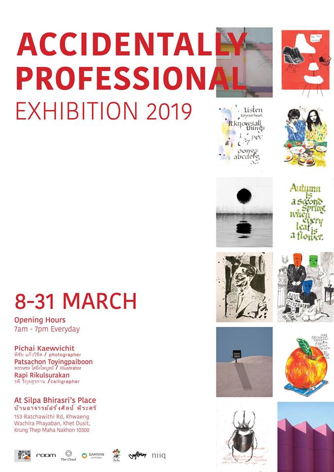 accidentally professional exhibition
