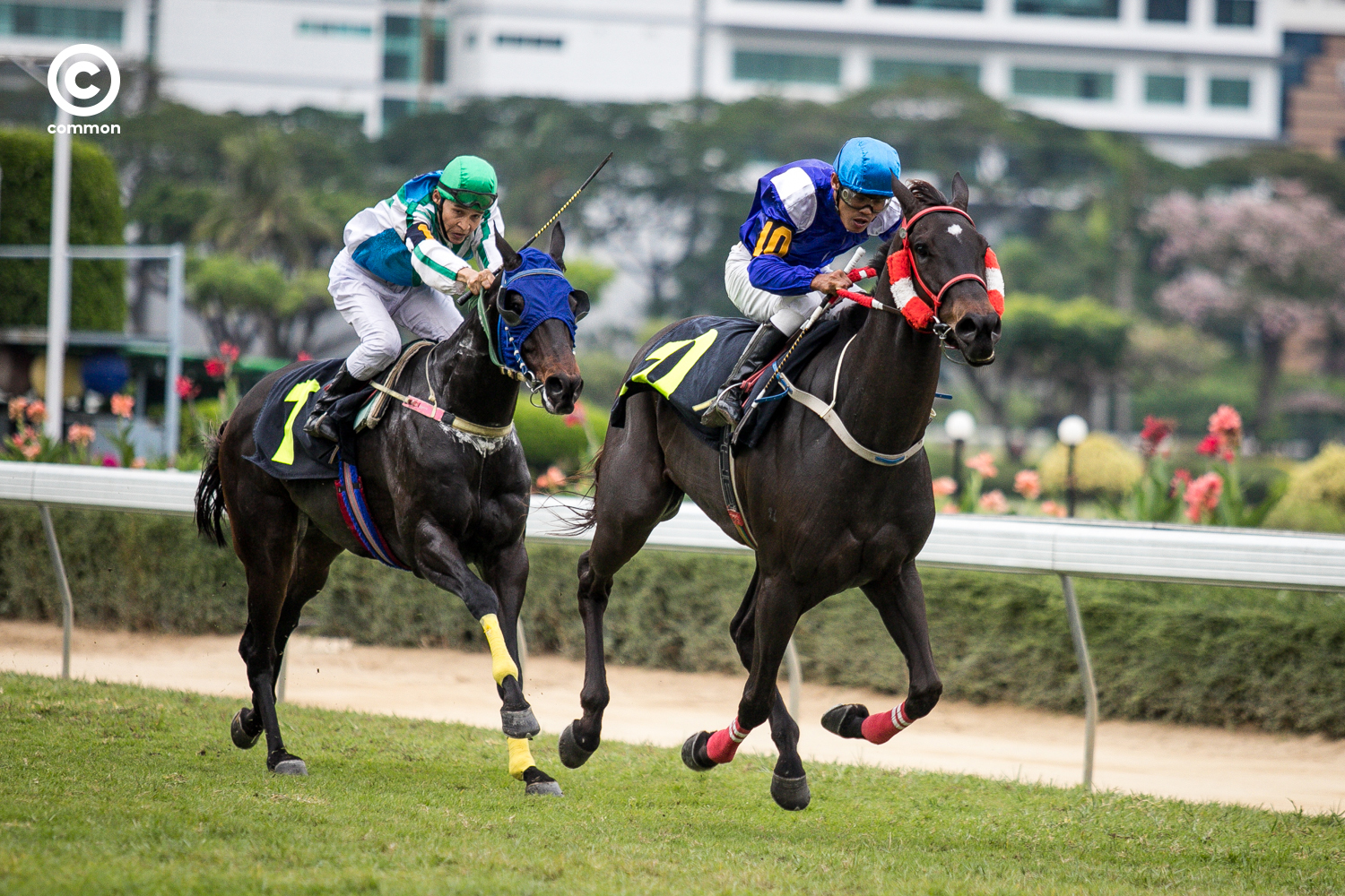 #สนามม้าราชกรีฑาสโมสร #สนามม้าฝรั่ง #Photoessay #Culture #แข่งม้า #Horseracing