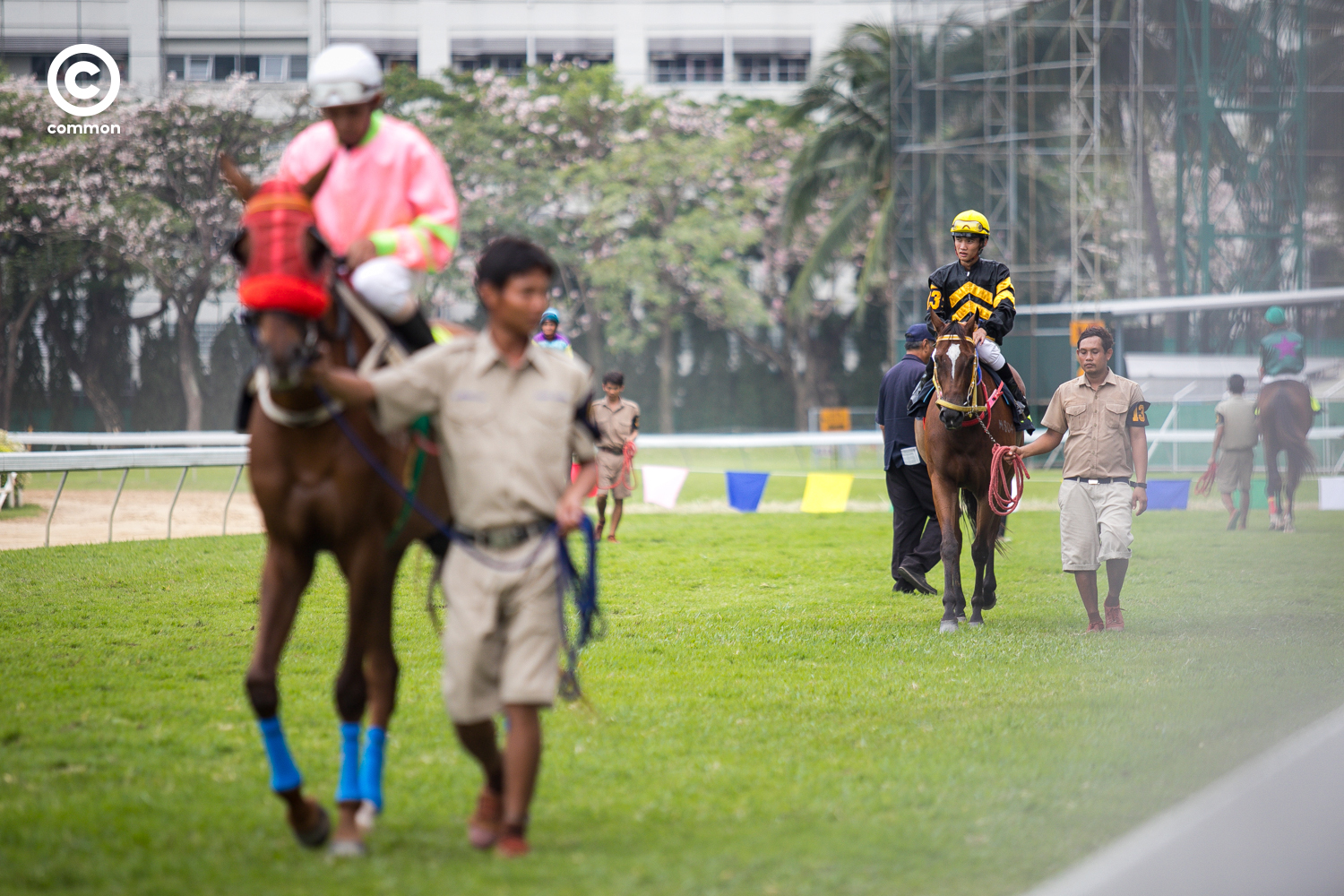 #สนามม้าราชกรีฑาสโมสร #สนามม้าฝรั่ง #Photoessay #Culture #แข่งม้า #Horseracing