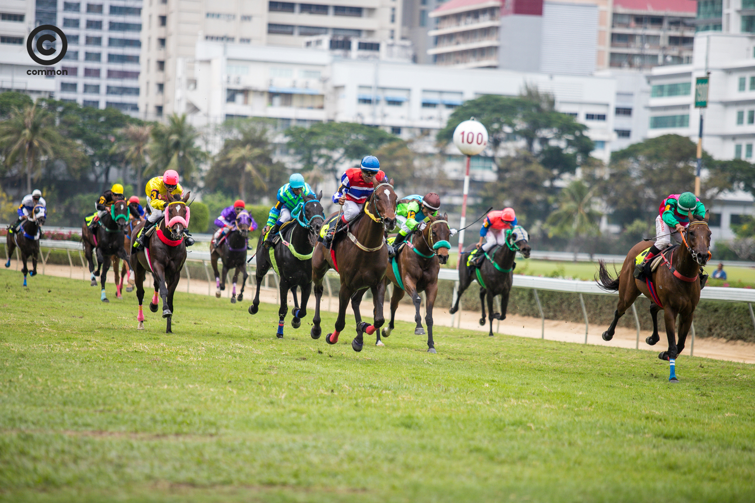 #สนามม้าราชกรีฑาสโมสร #สนามม้าฝรั่ง #Photoessay #Culture #แข่งม้า #Horseracing
