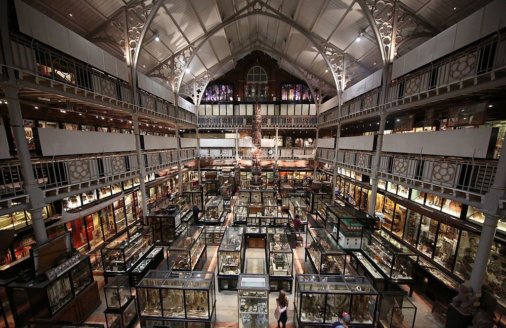 museum of the year
