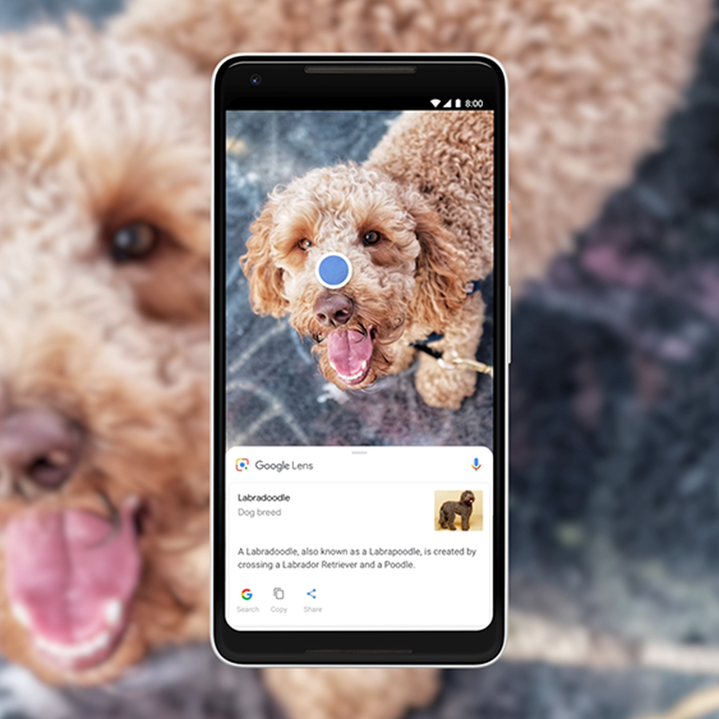 google lens product service
