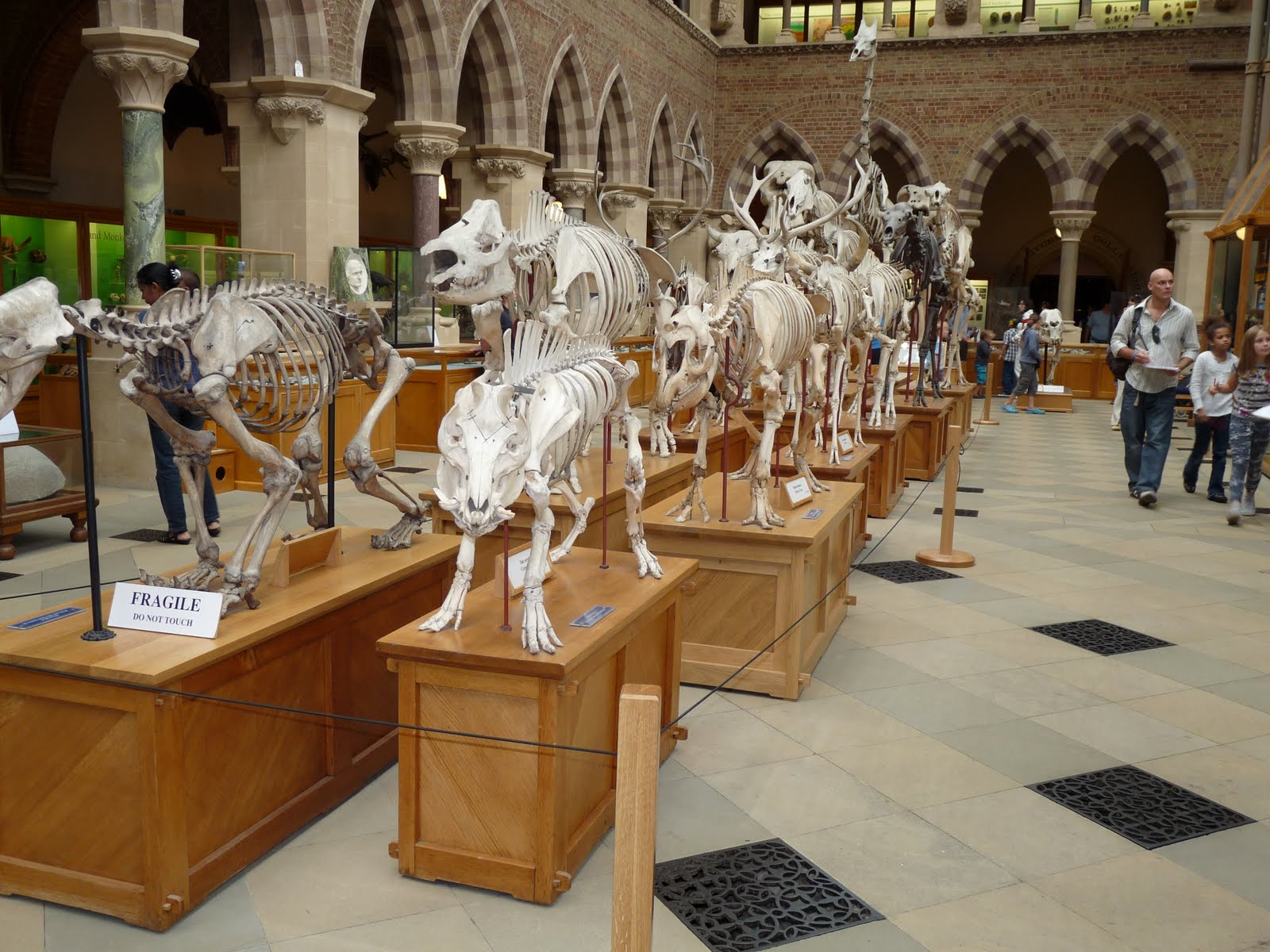 museum of the year