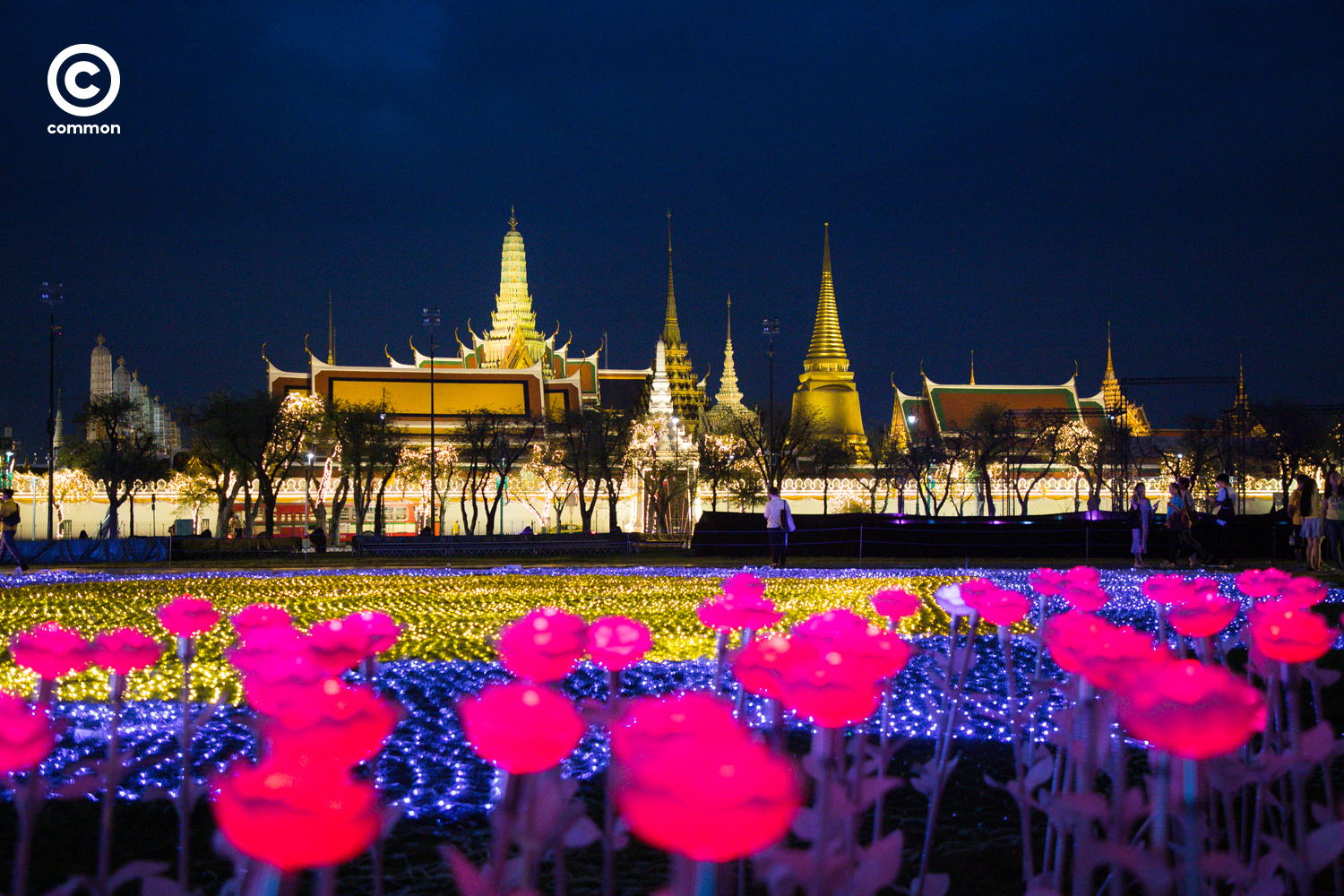  #Photoessay #งานสมโภชราชาภิเษก #พระราชพิธีบรมราชาภิเษก #มหรสพสมโภช #สนามหลวง