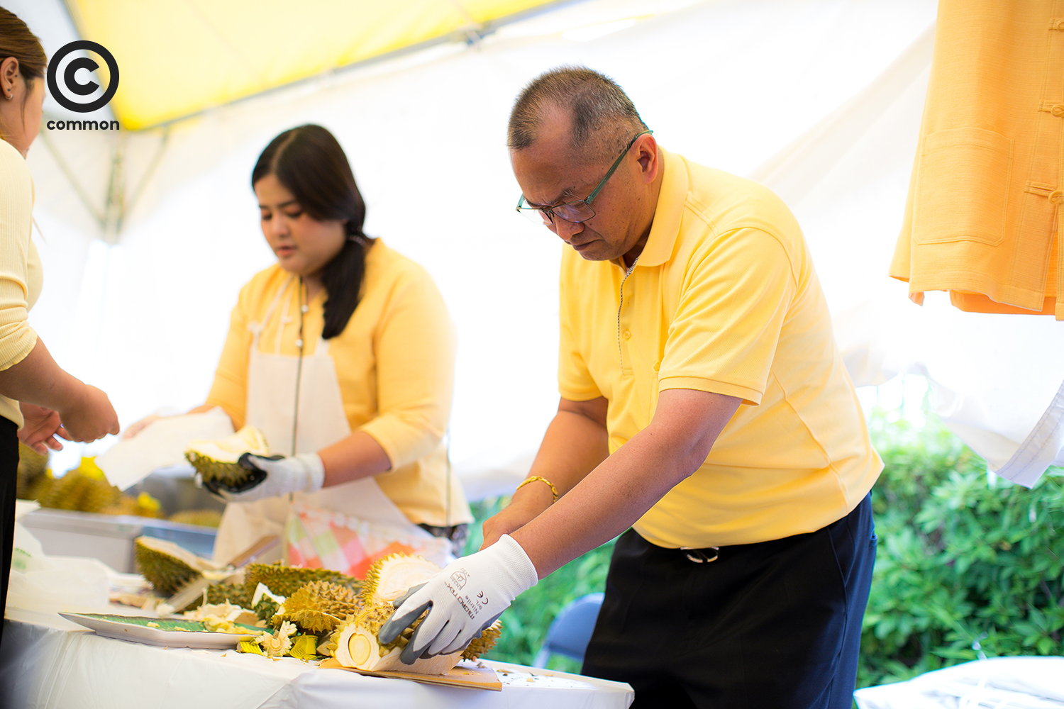 thai fest