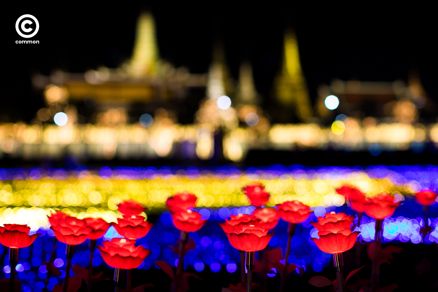 #Photoessay #งานสมโภชราชาภิเษก #พระราชพิธีบรมราชาภิเษก #มหรสพสมโภช #สนามหลวง