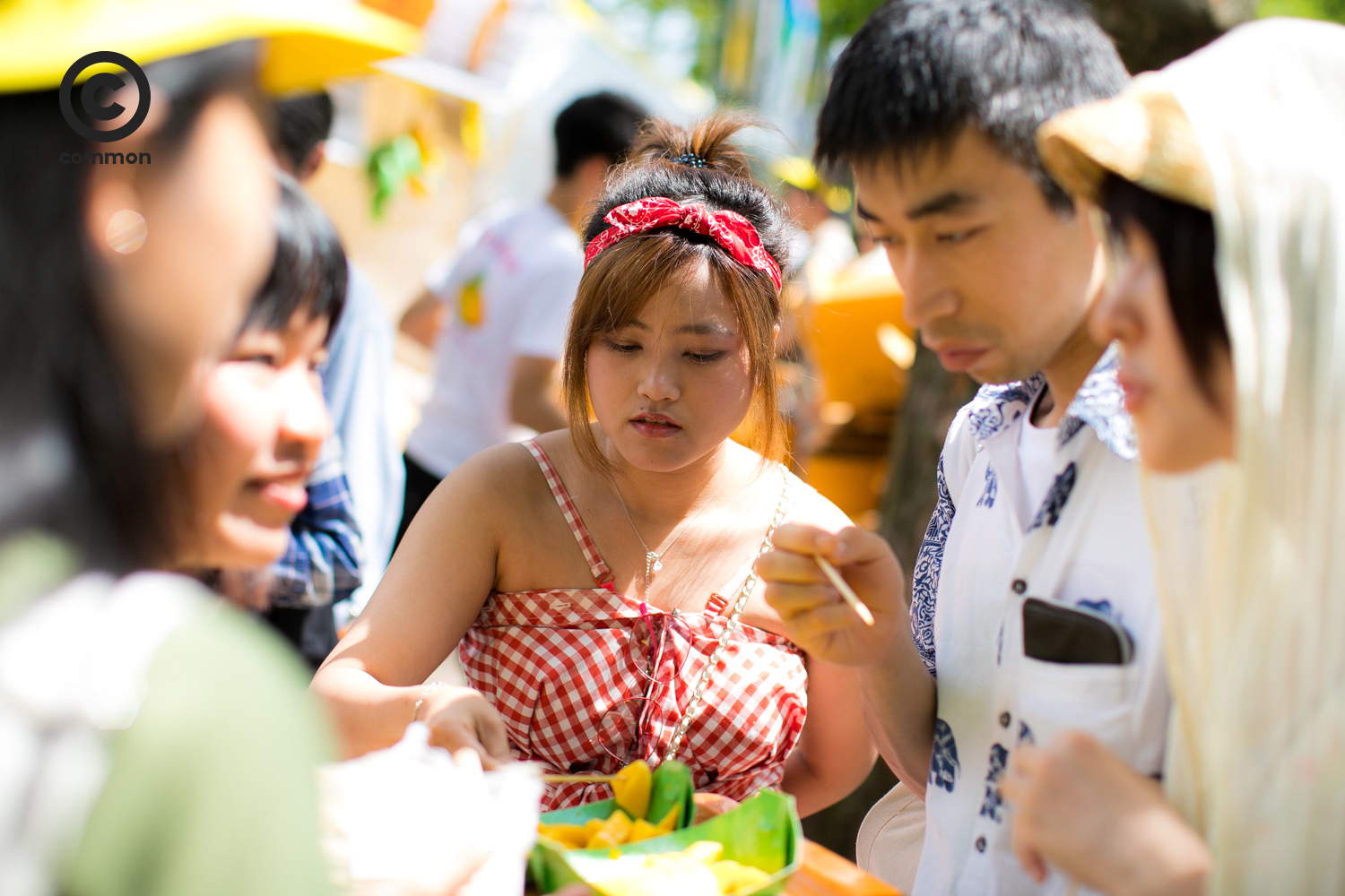 thai fest