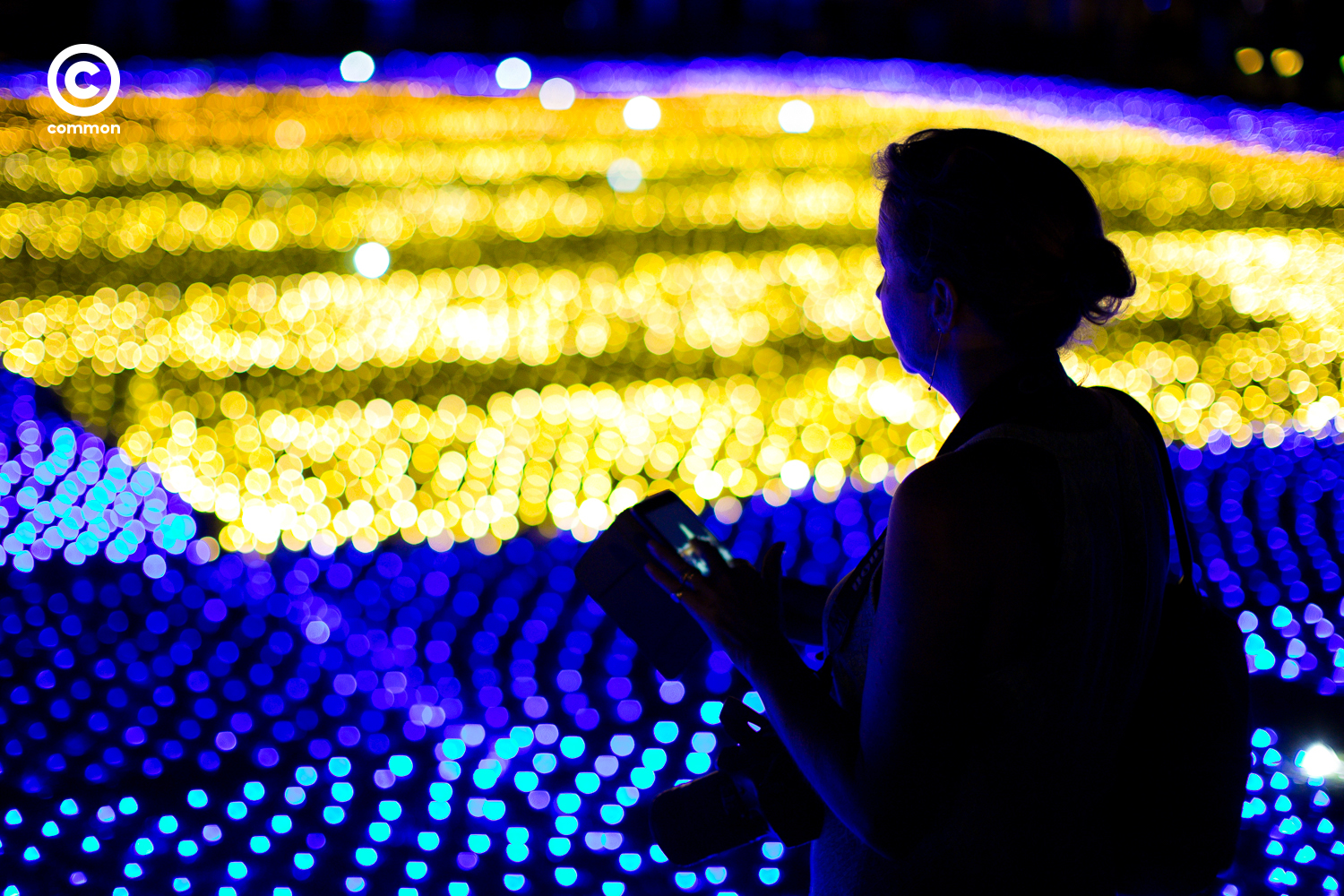  #Photoessay #งานสมโภชราชาภิเษก #พระราชพิธีบรมราชาภิเษก #มหรสพสมโภช #สนามหลวง