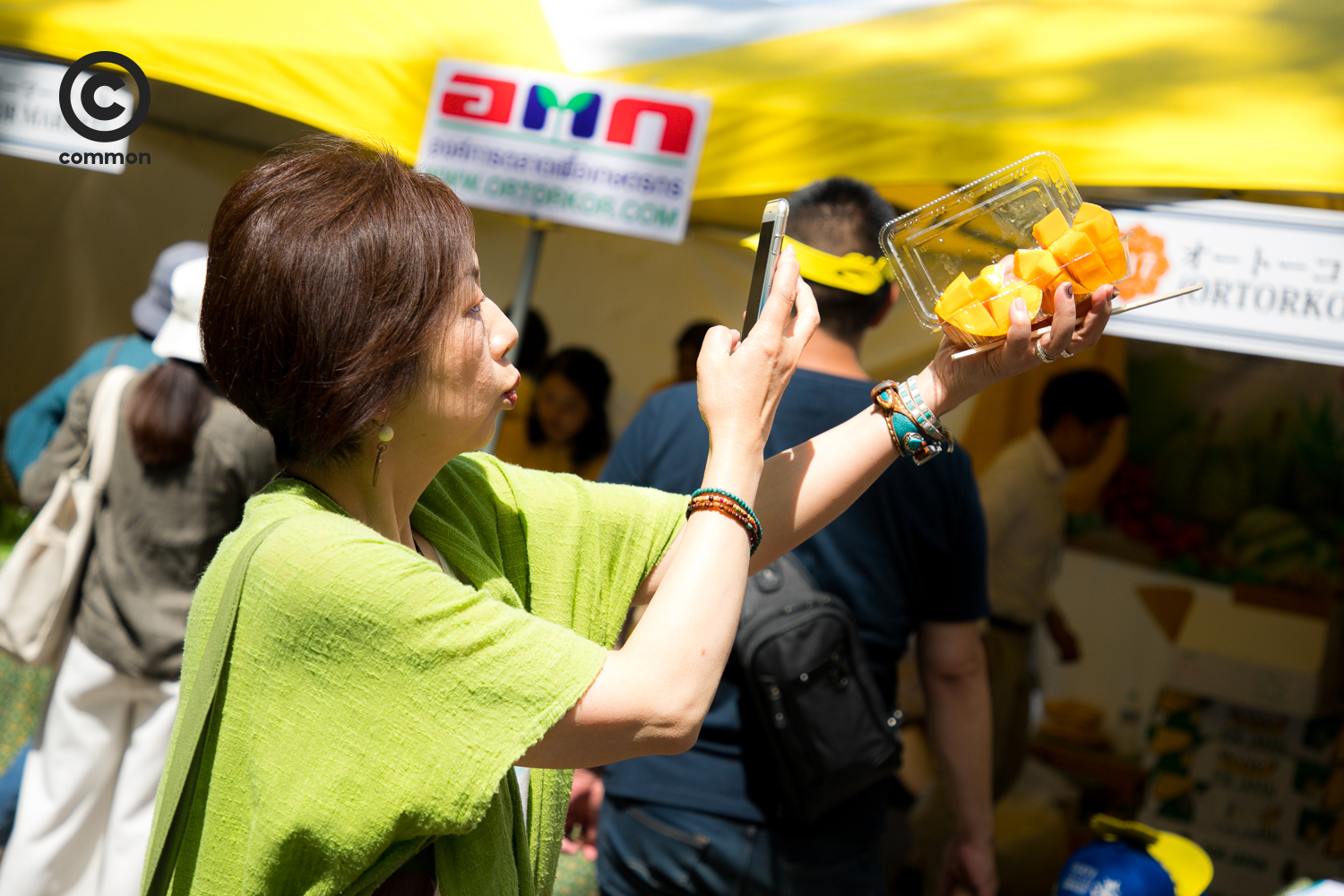 thai fest