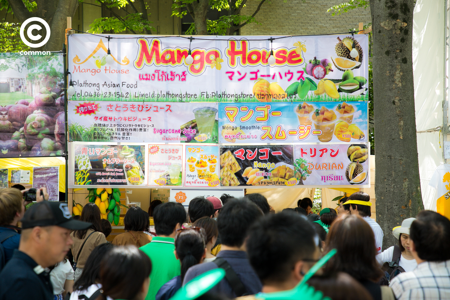 thai fest