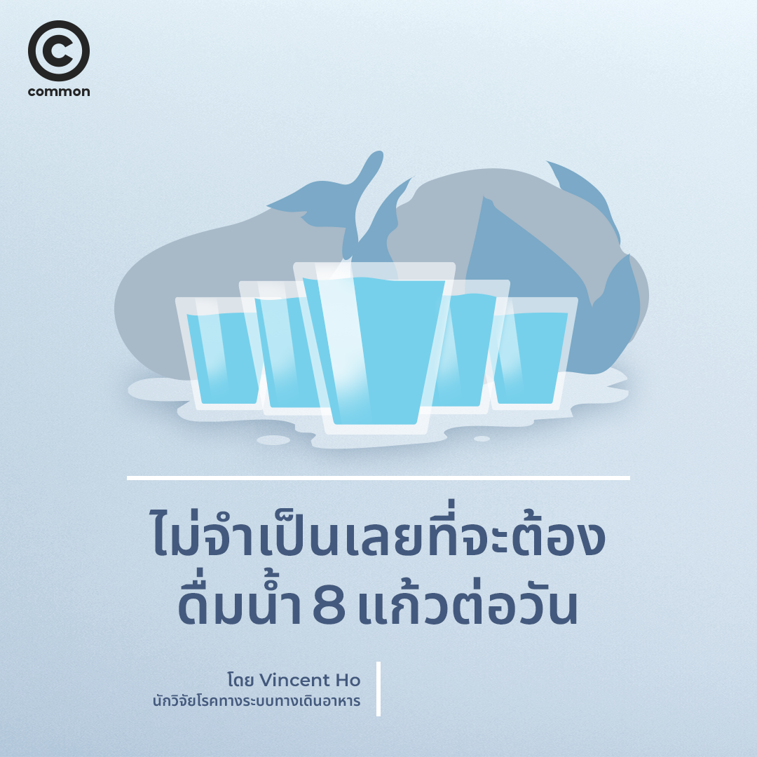 ดื่มน้ำ วันละ 8 แก้ว