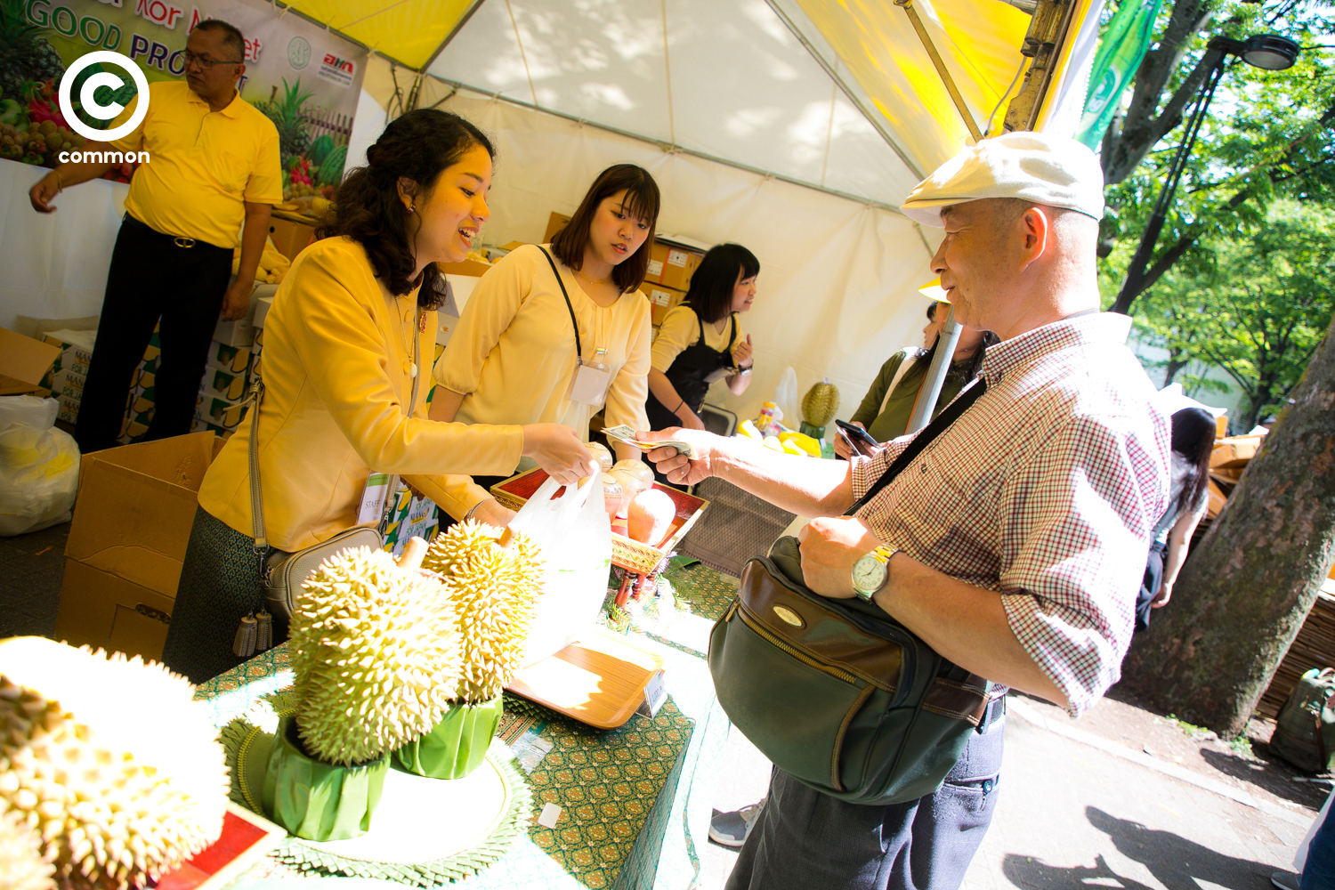 thai fest