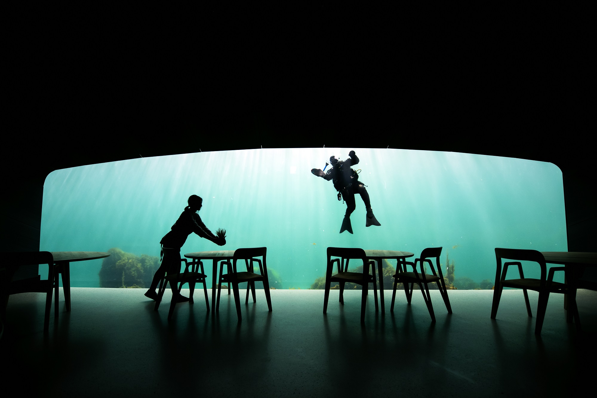 underwater restaurant