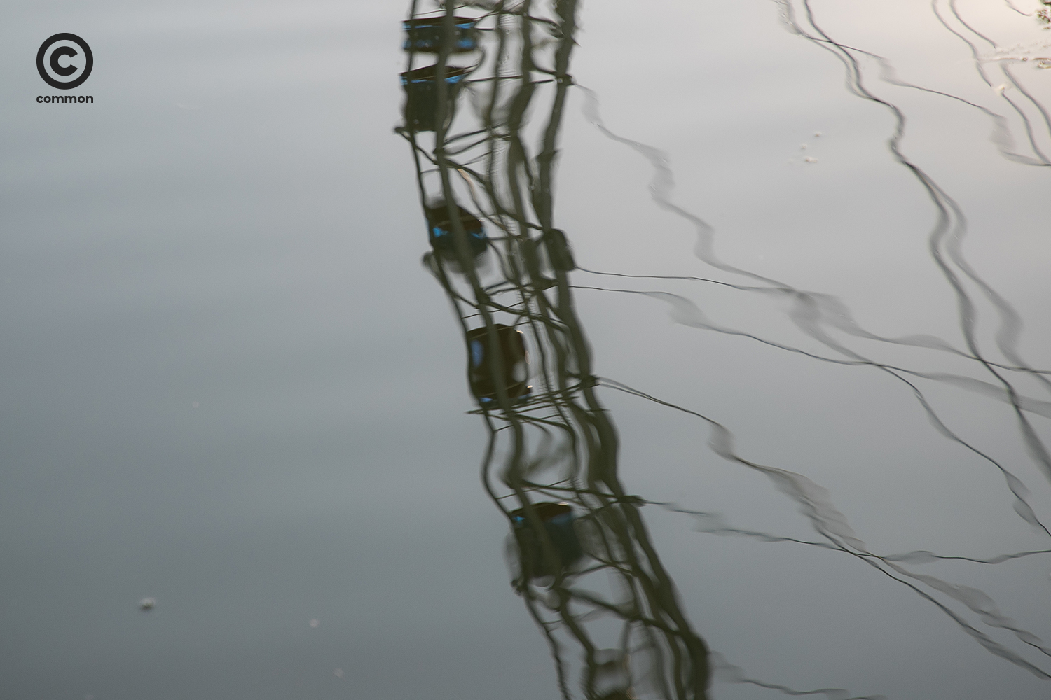 #TianjinEye #Tianjin #เทียนจิน #Photoessay #common #World