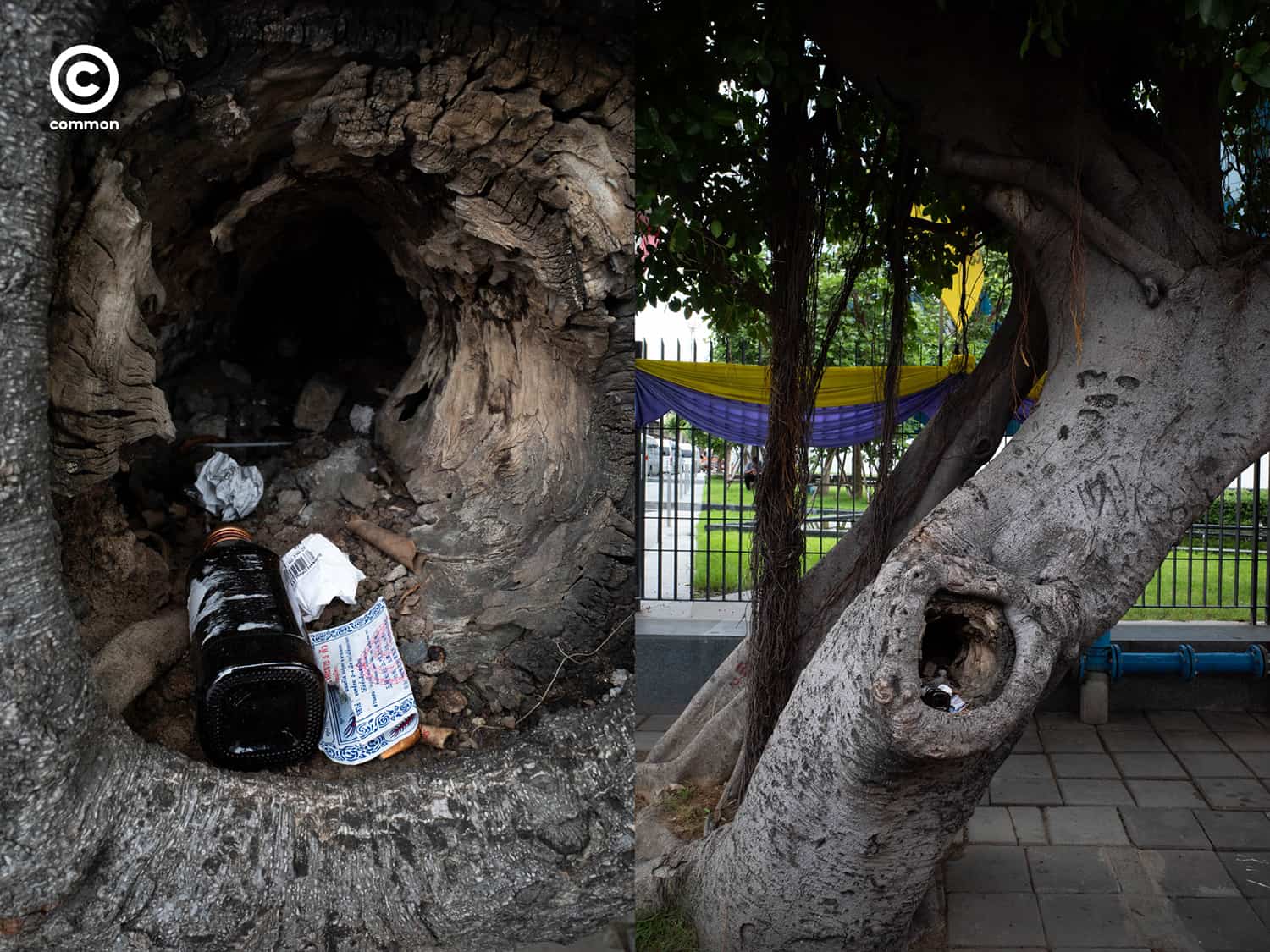 #photo essay #culture #ขยะ #ต้นไม้ #ผิดที่ผิดทาง #ถังขยะ