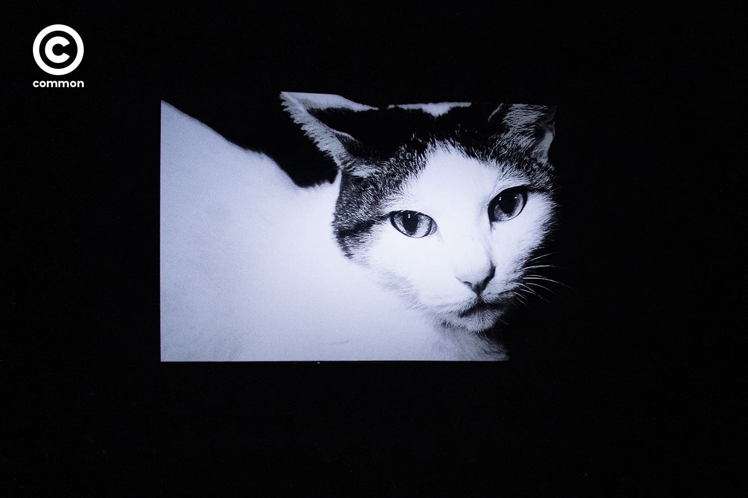 โนบุโยชิ อารากิ Nobuyoshi Araki Leica Gallery Bangkok ช่างภาพ ภาพถ่าย ญี่ปุ่น Life by Film