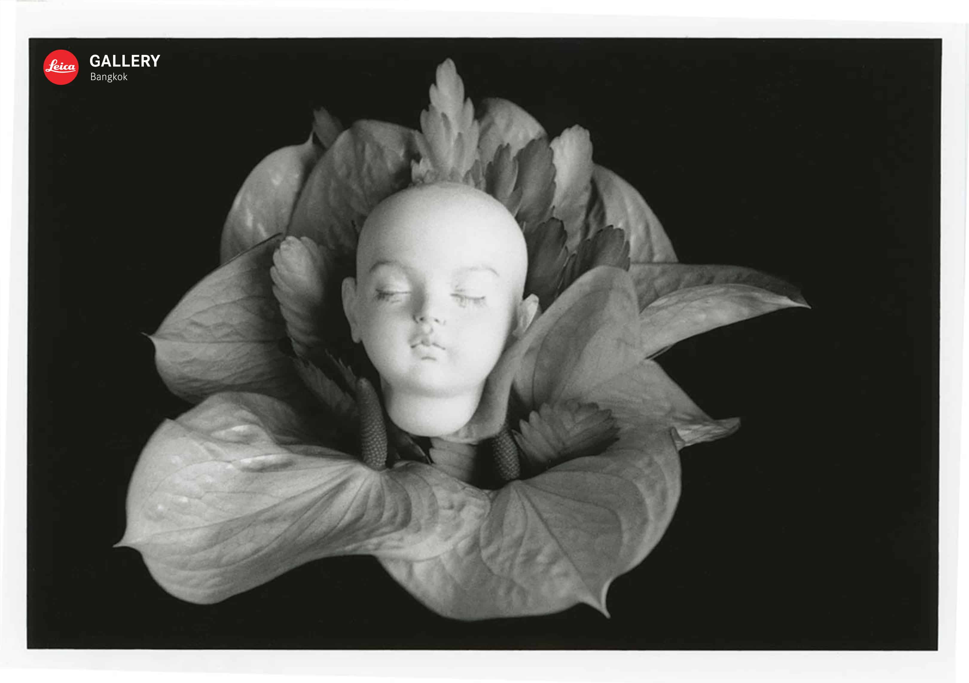 โนบุโยชิ อารากิ Nobuyoshi Araki Leica Gallery Bangkok ช่างภาพ ภาพถ่าย ญี่ปุ่น Life by Film