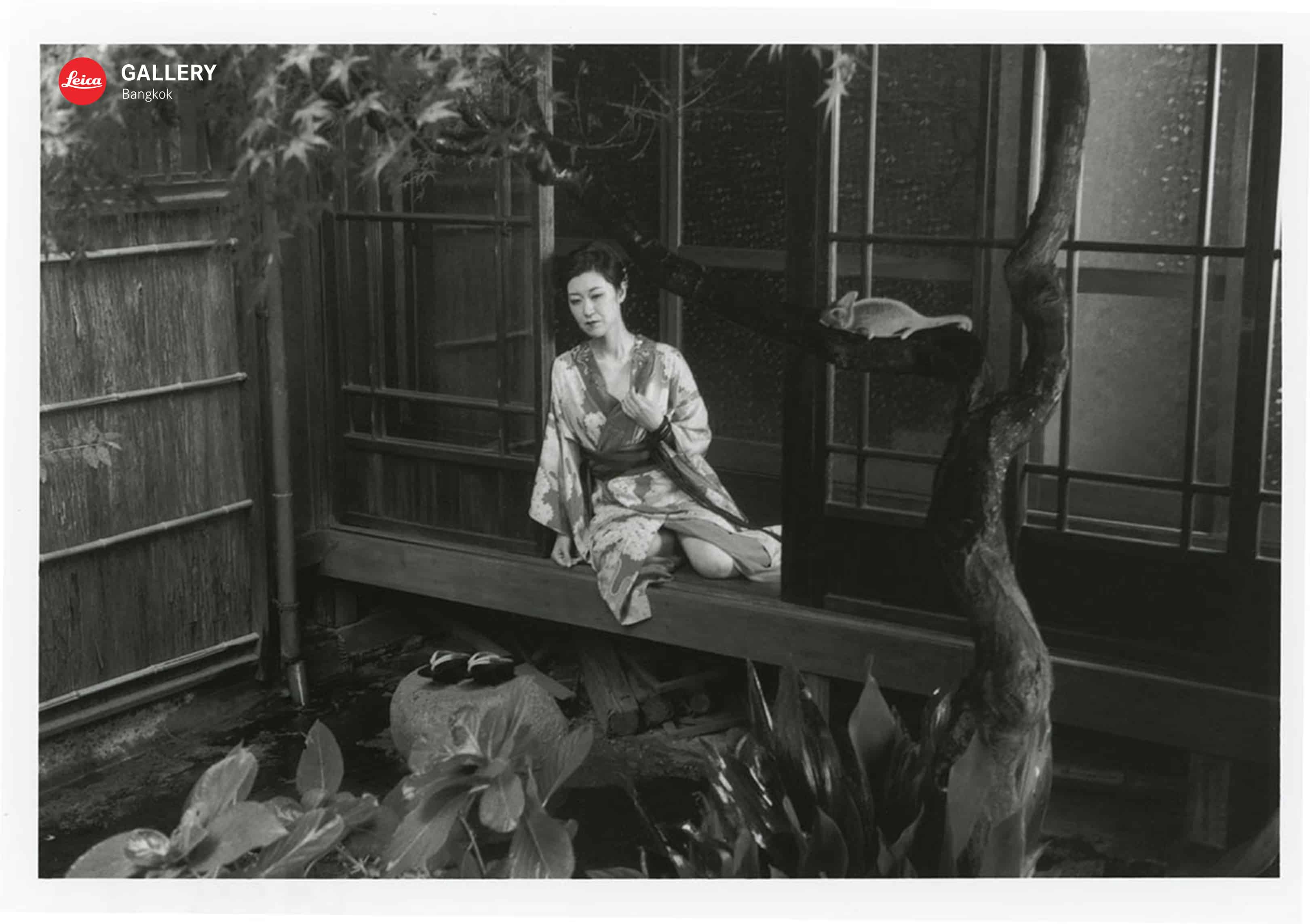 โนบุโยชิ อารากิ Nobuyoshi Araki Leica Gallery Bangkok ช่างภาพ ภาพถ่าย ญี่ปุ่น Life by Film